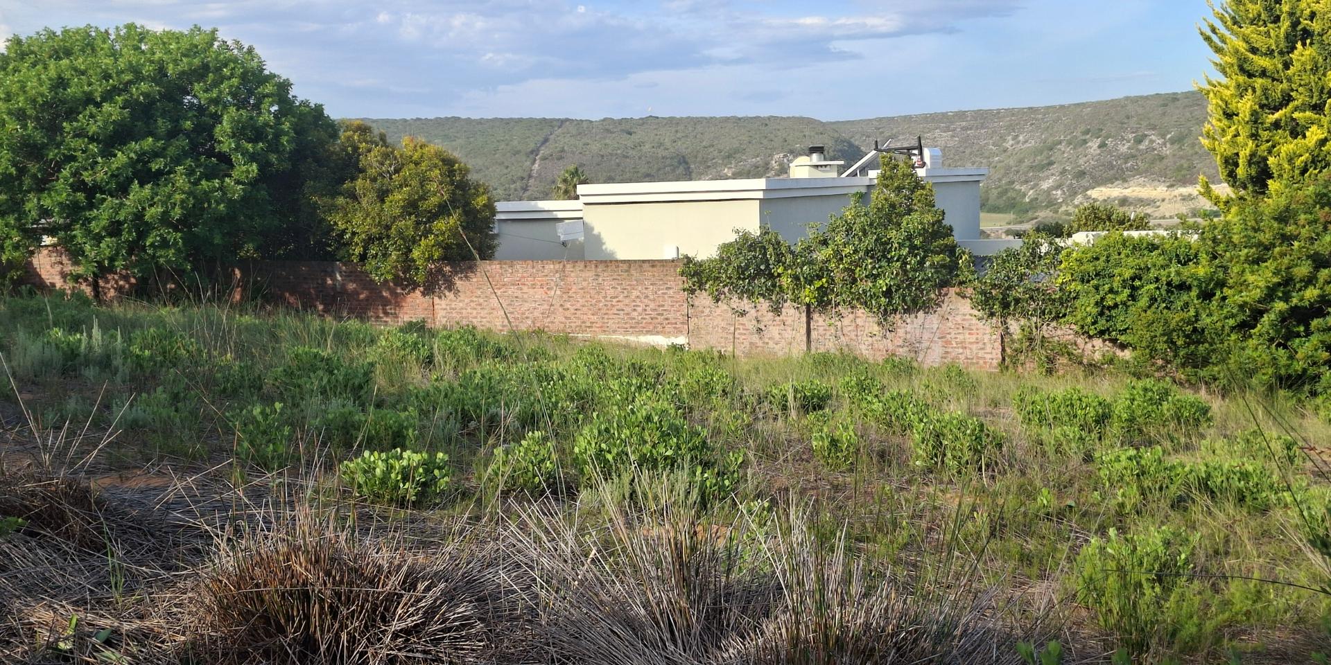 Image 4 of 6