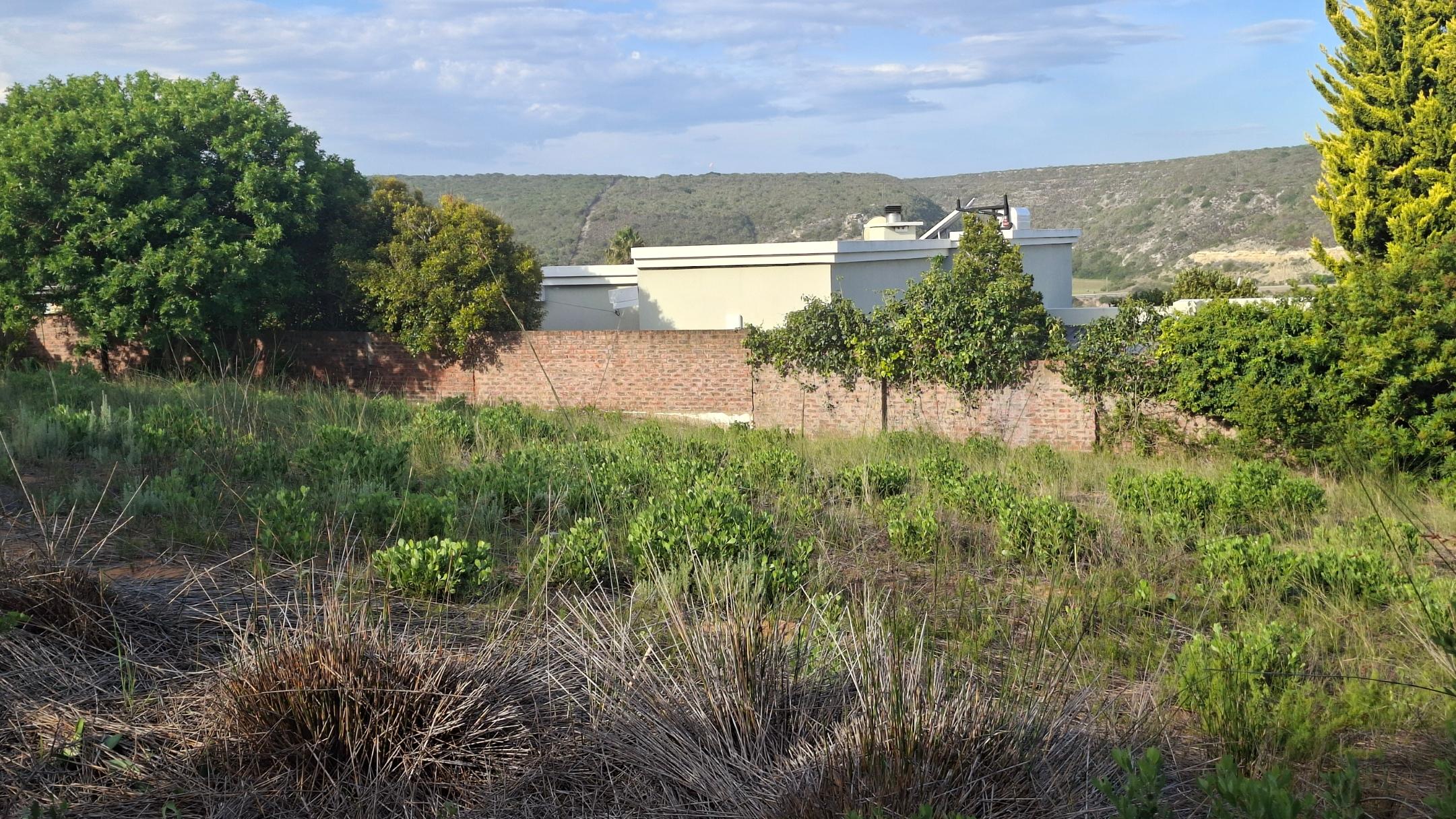 Image 4 of 6