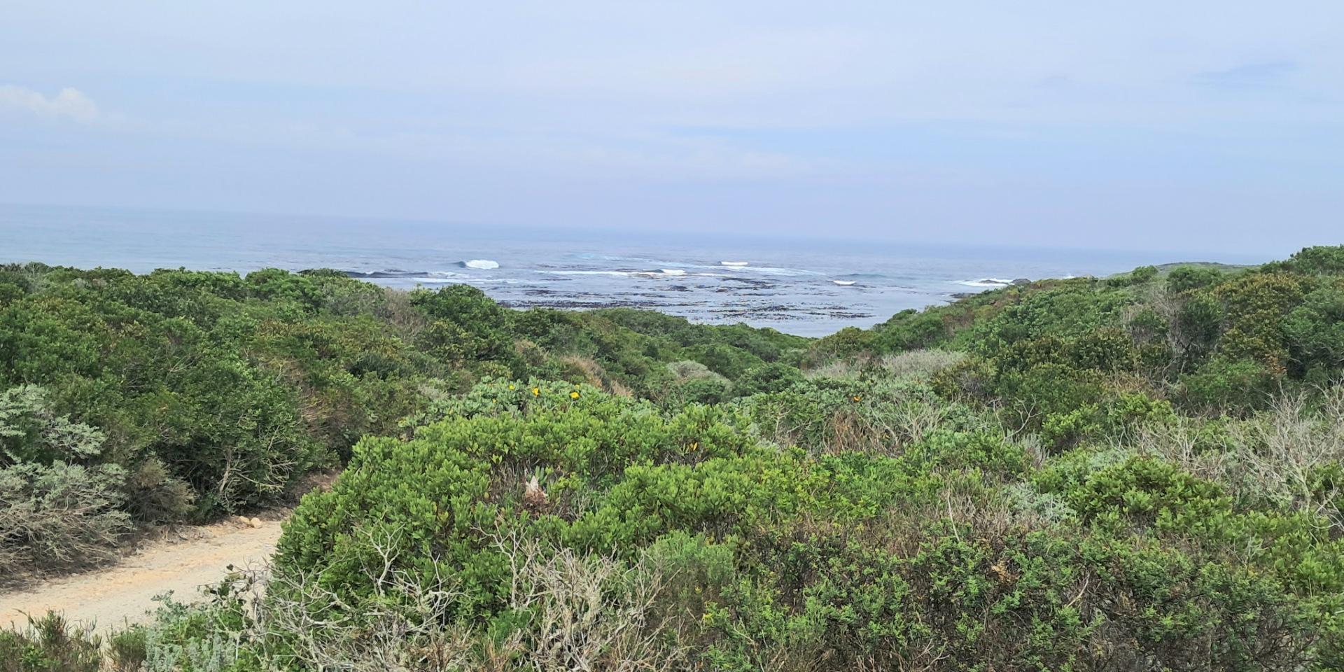 Image 3 of 6