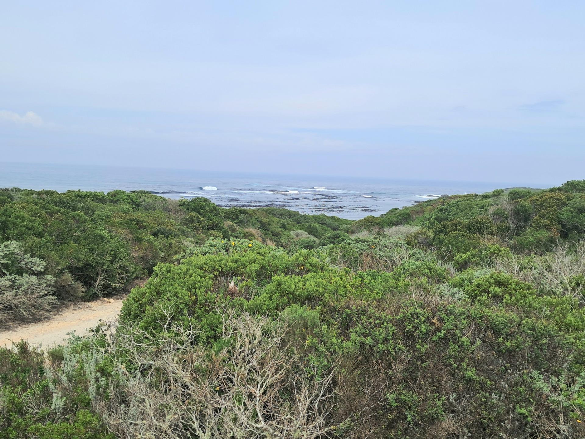 Image 3 of 6
