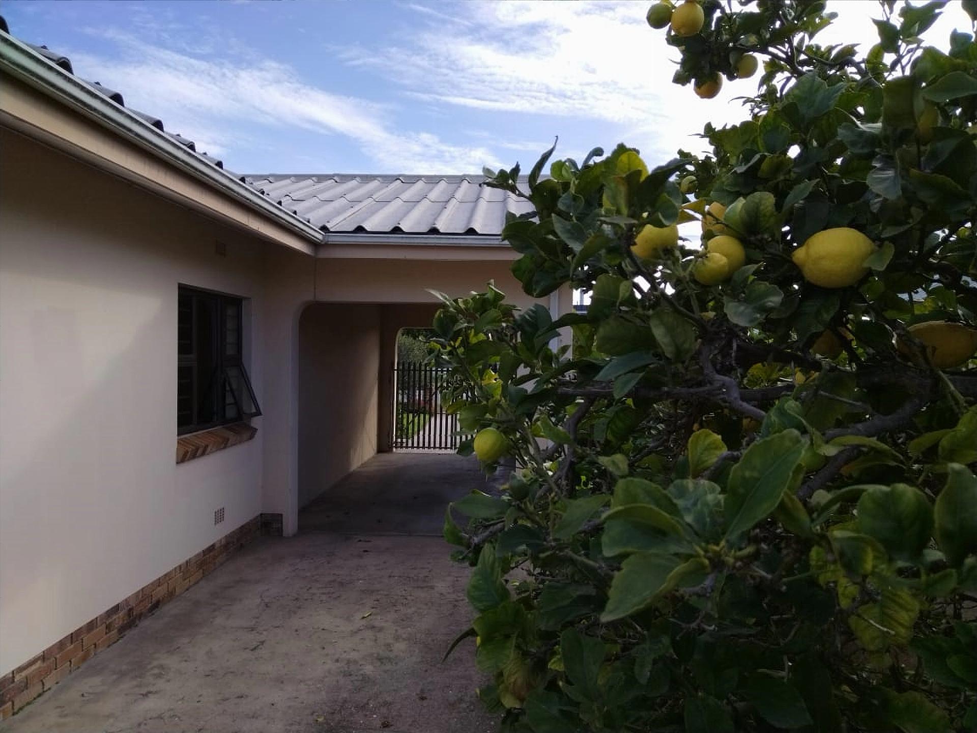 Image 15