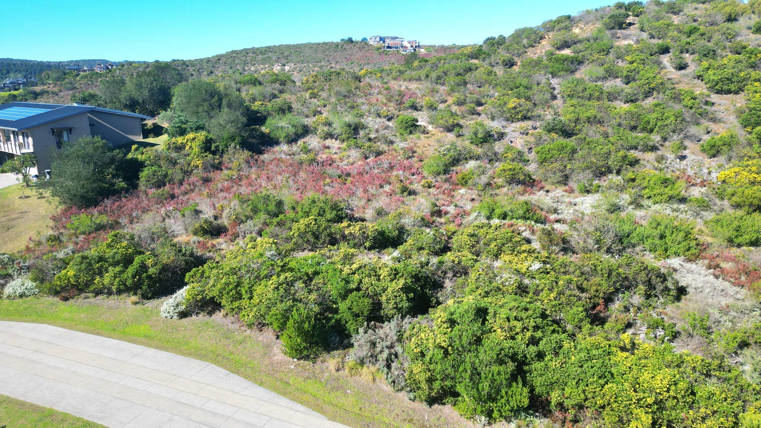 Image 3 of 6