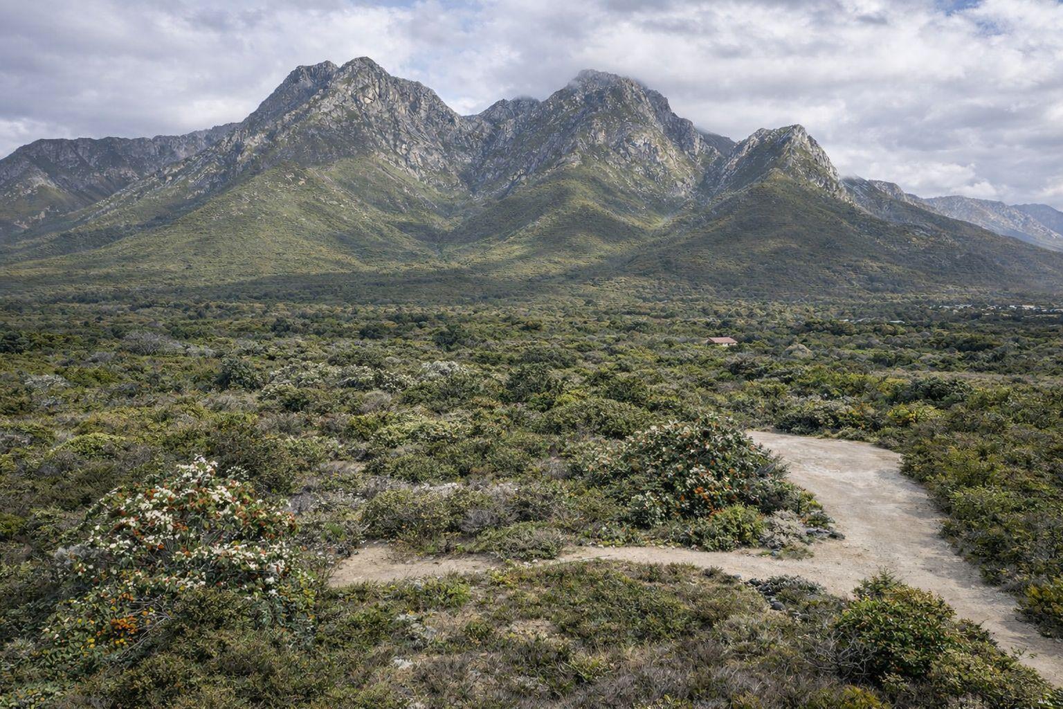 Image 5 of 6