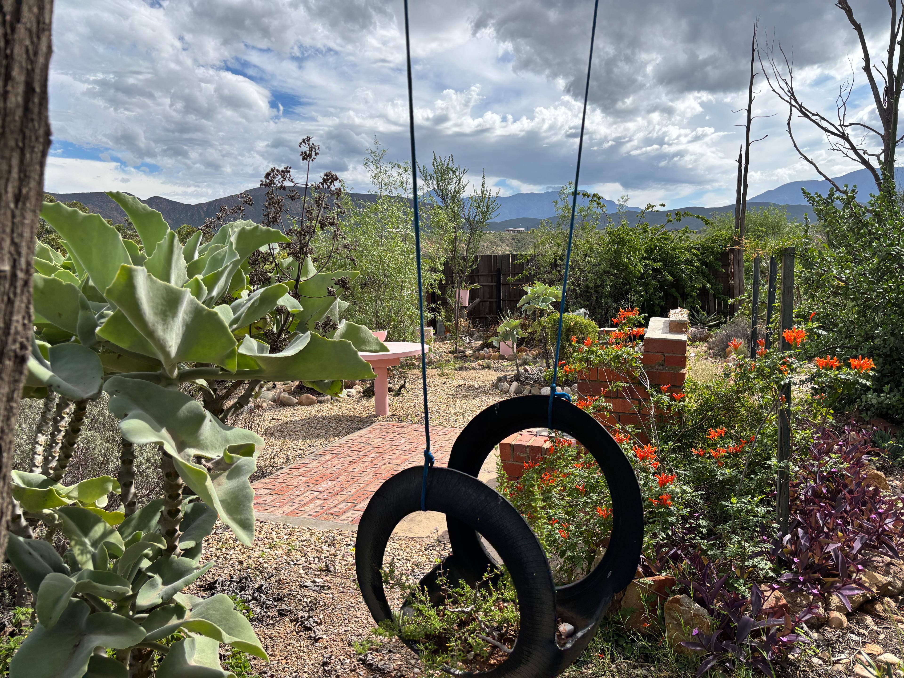 Image 12