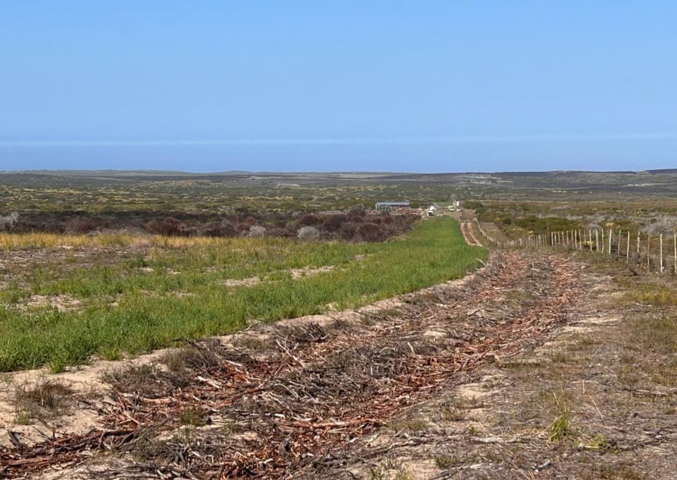 Image 11