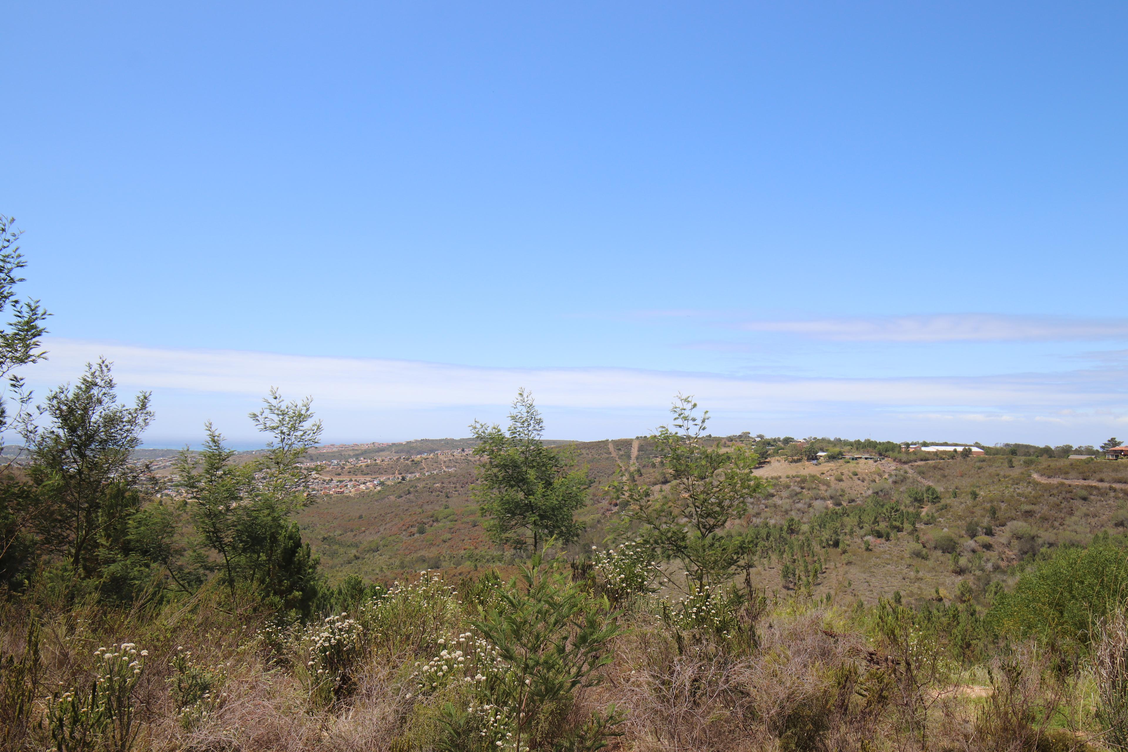 Image 41