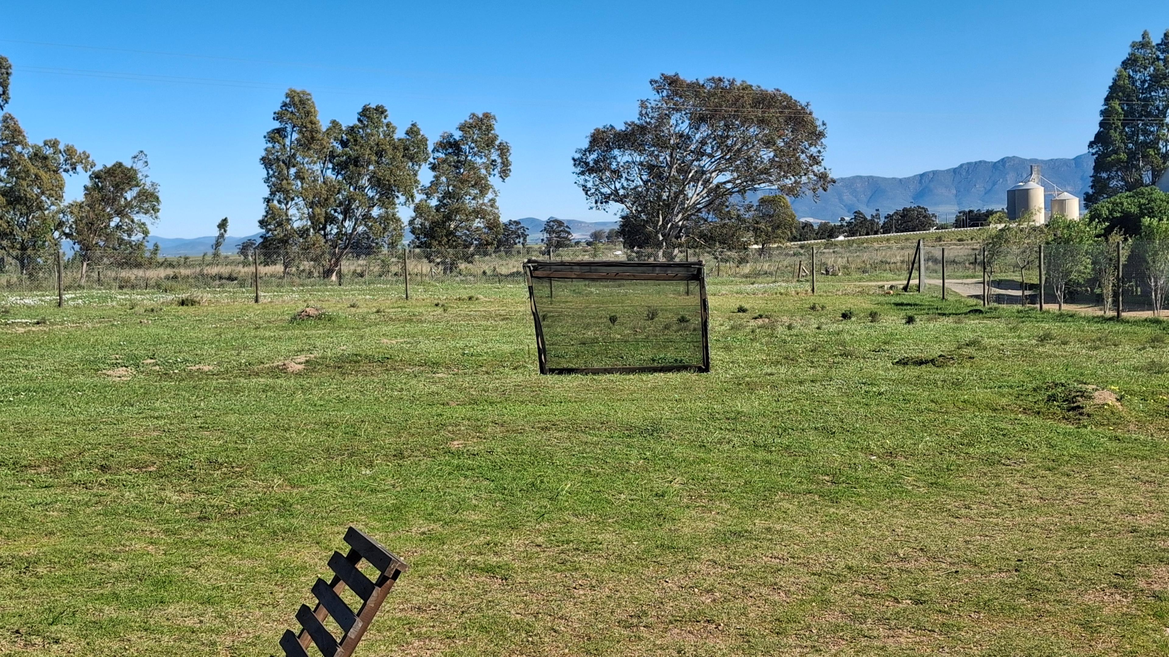Image 40