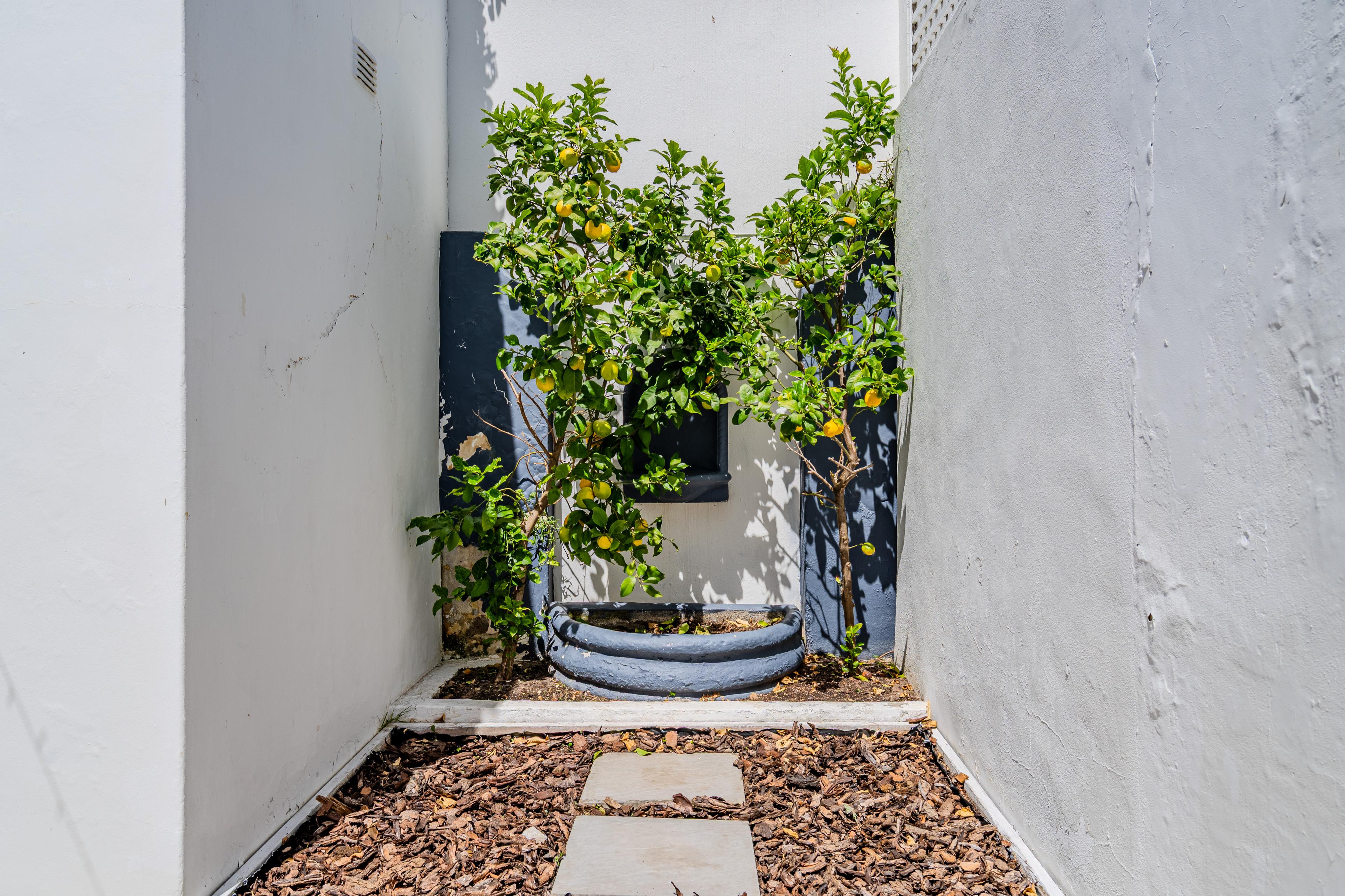 Image 18