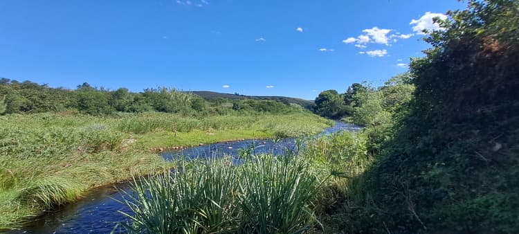 Main property image