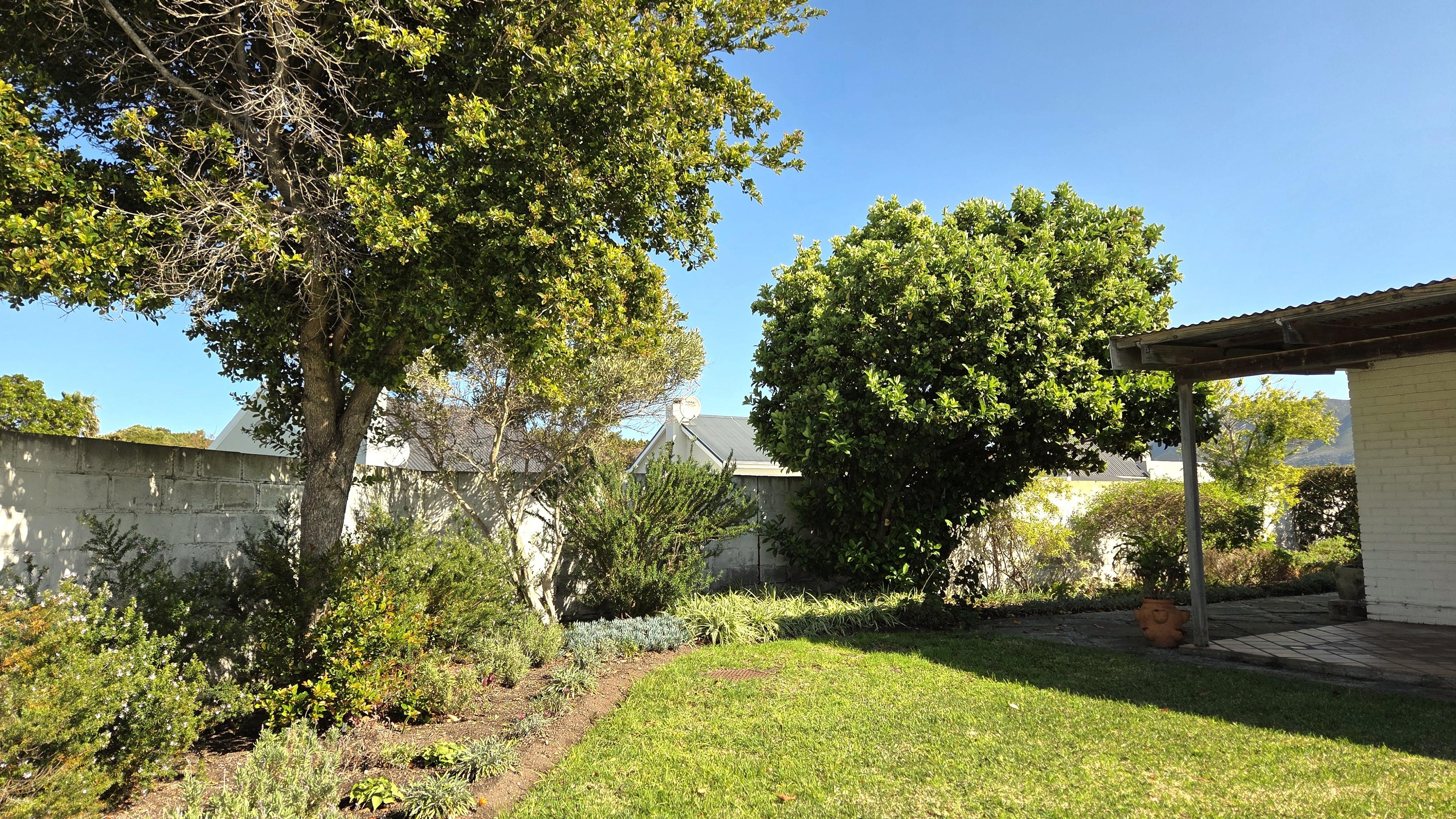 Image 22