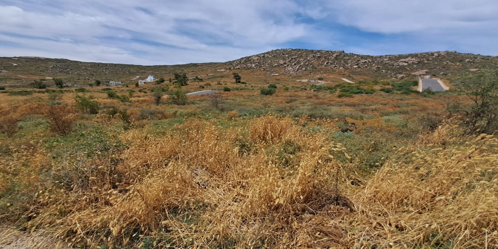 Image 4 of 6