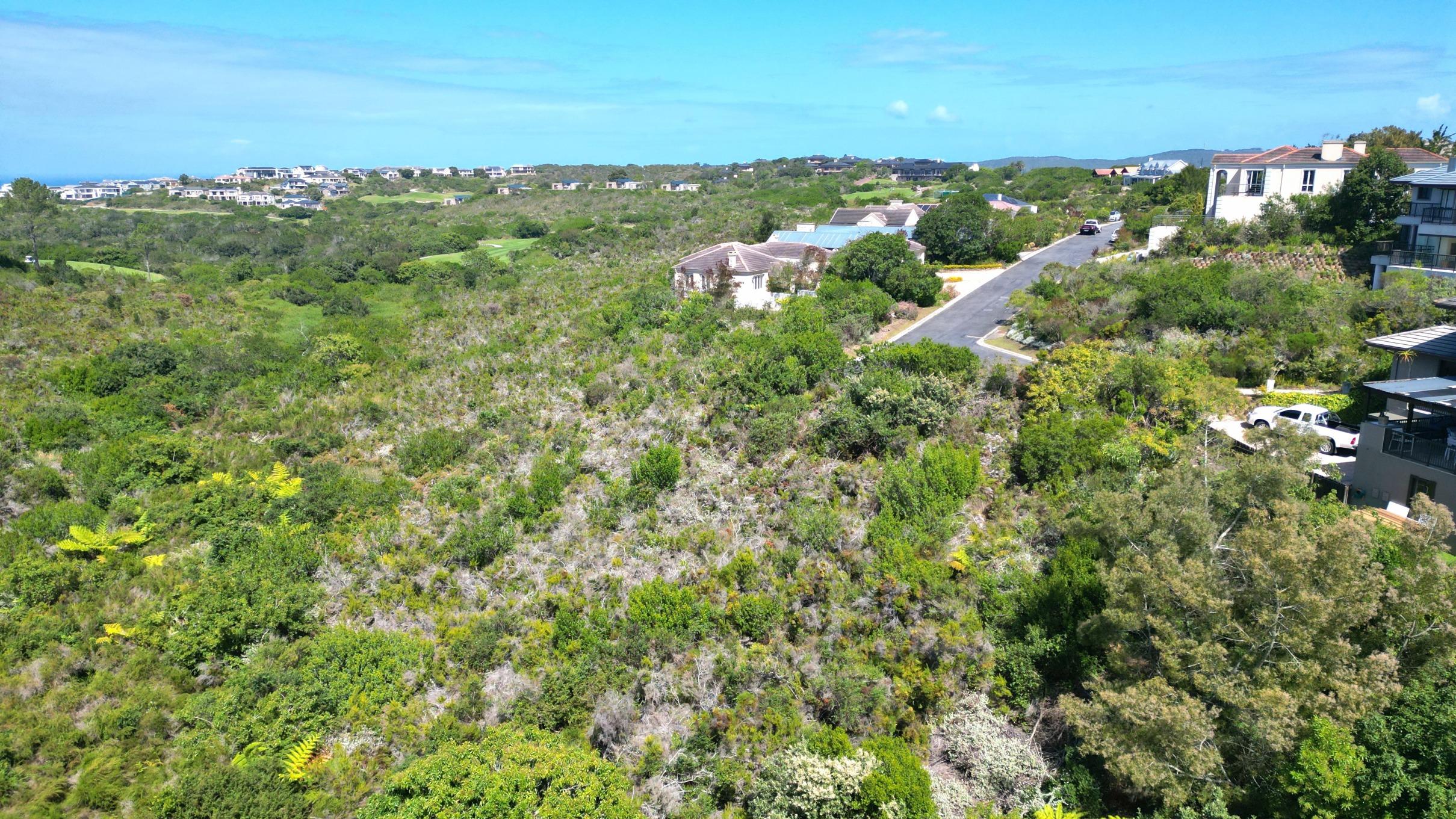 Image 4 of 6