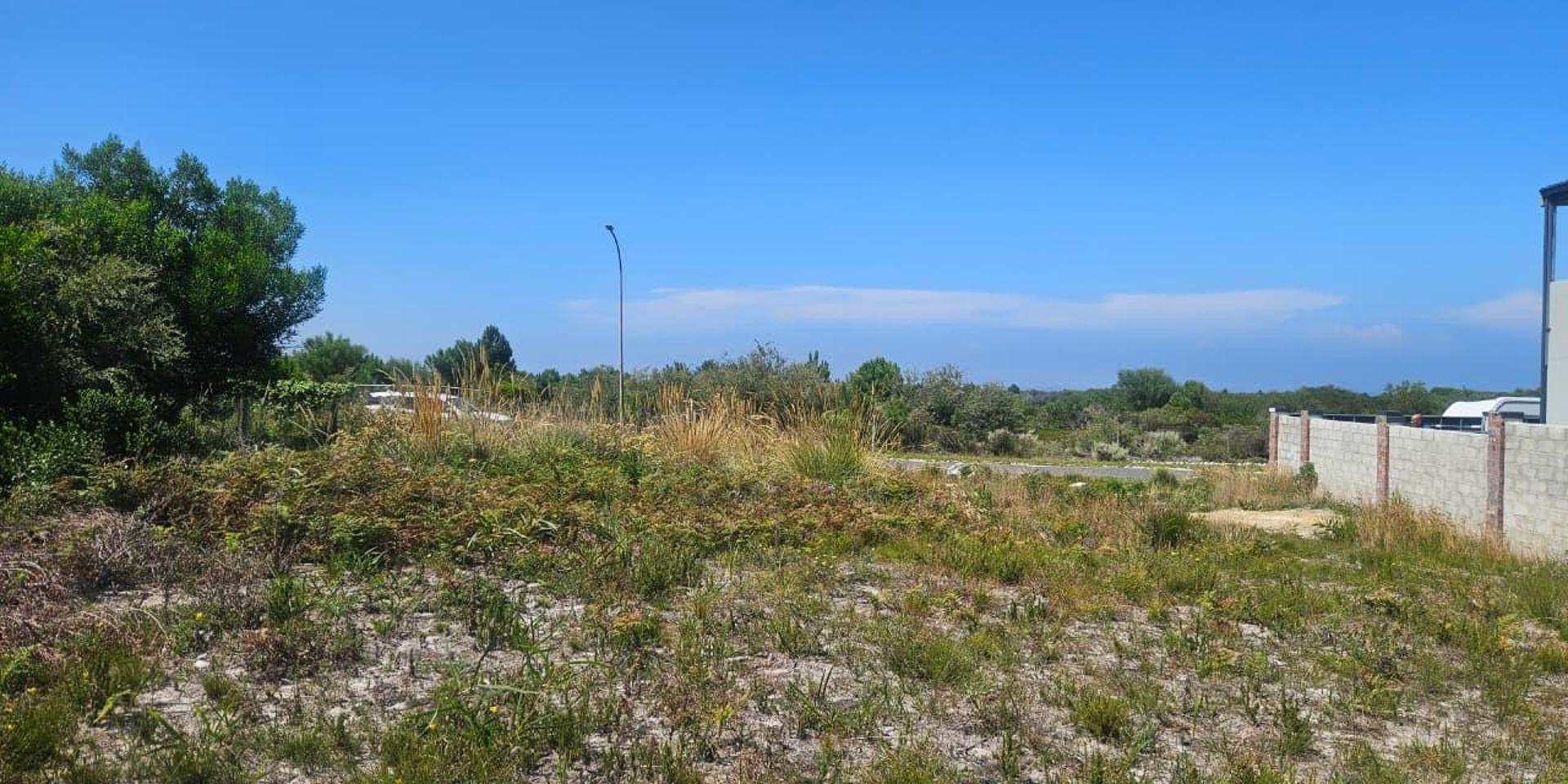 Image 2 of 6