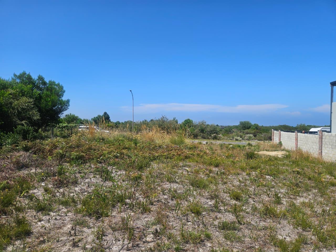 Image 2 of 6