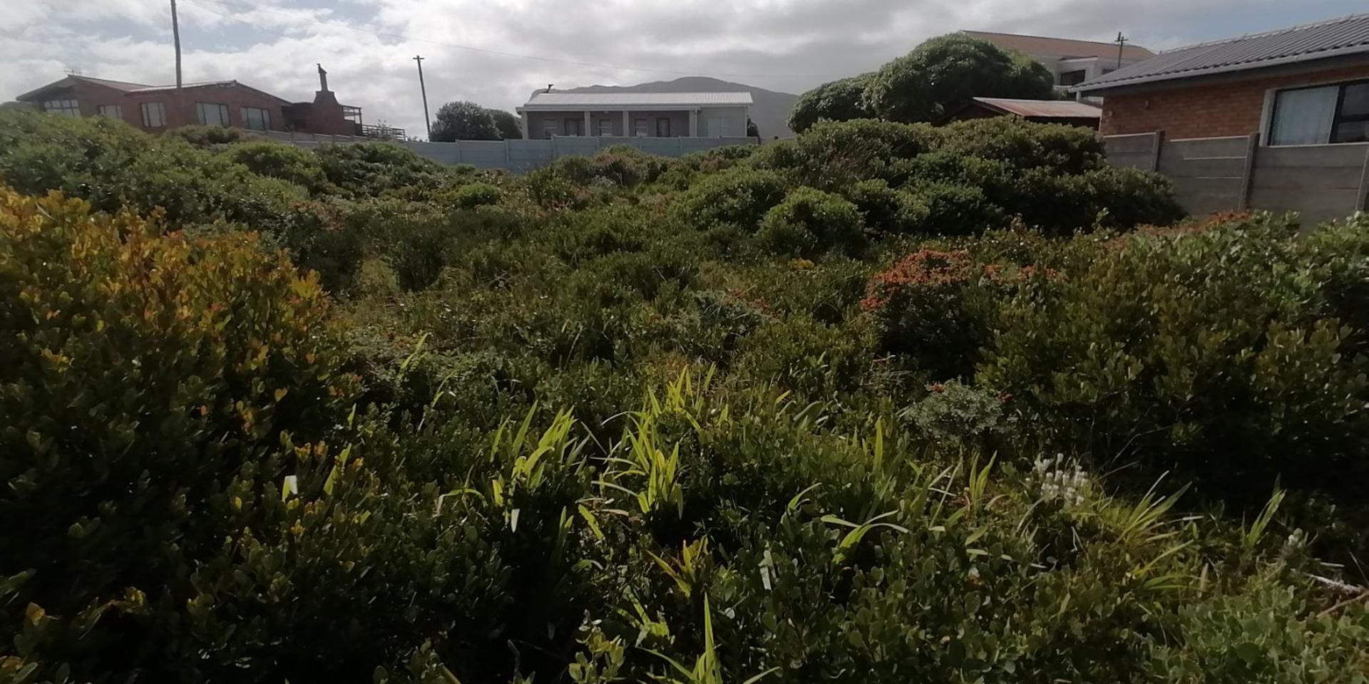 Image 5 of 6