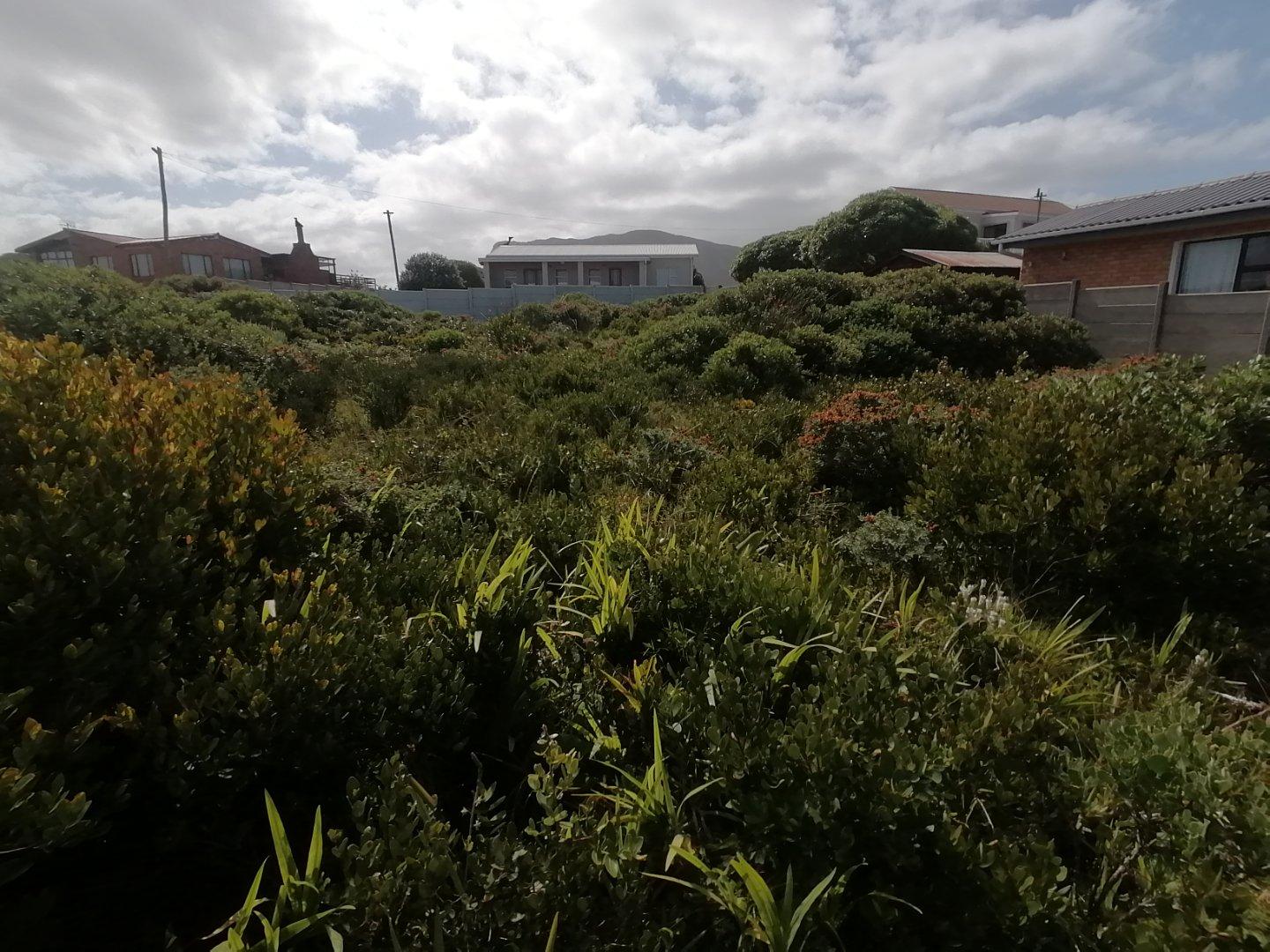 Image 5 of 6