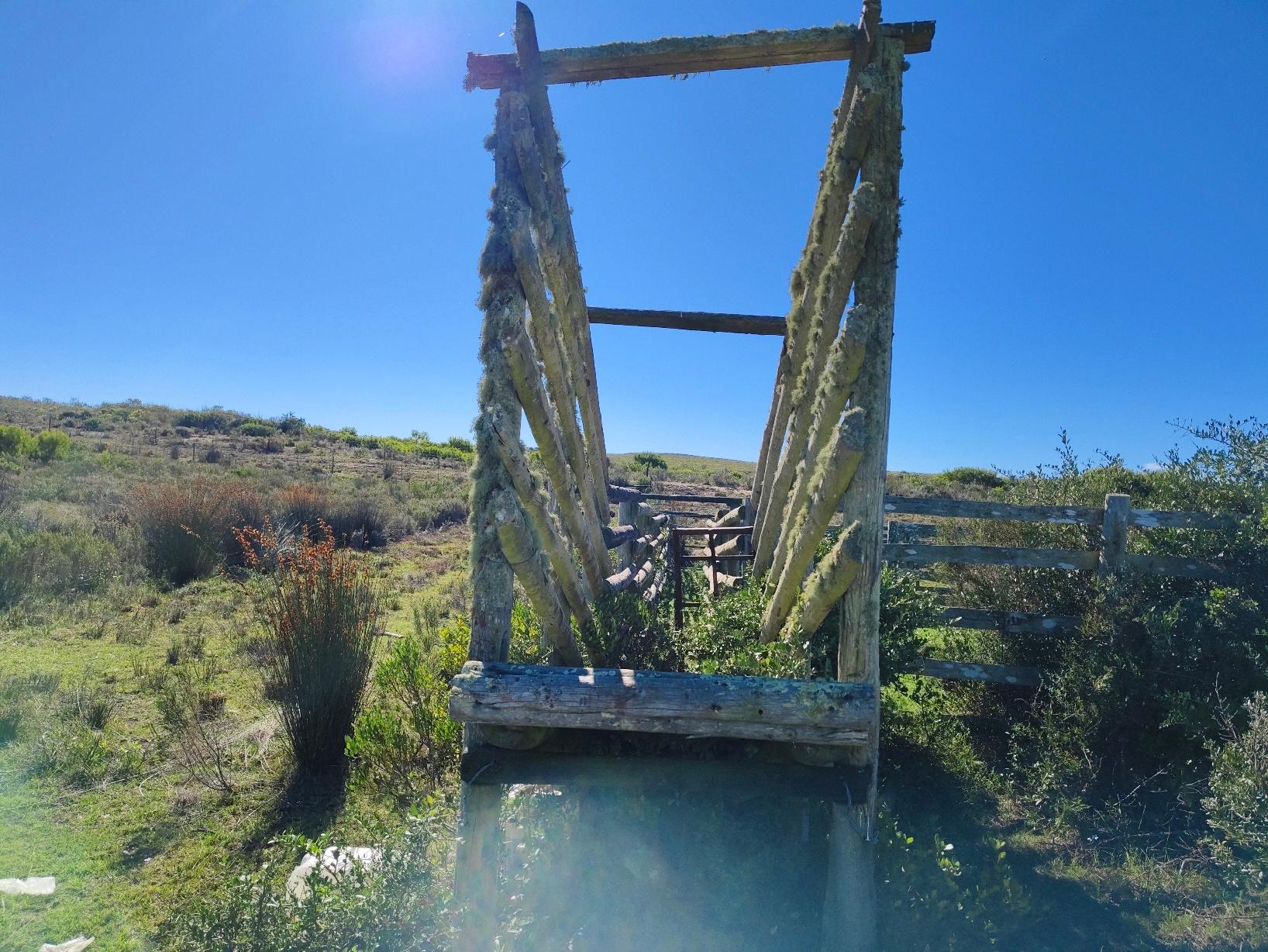 Image 6