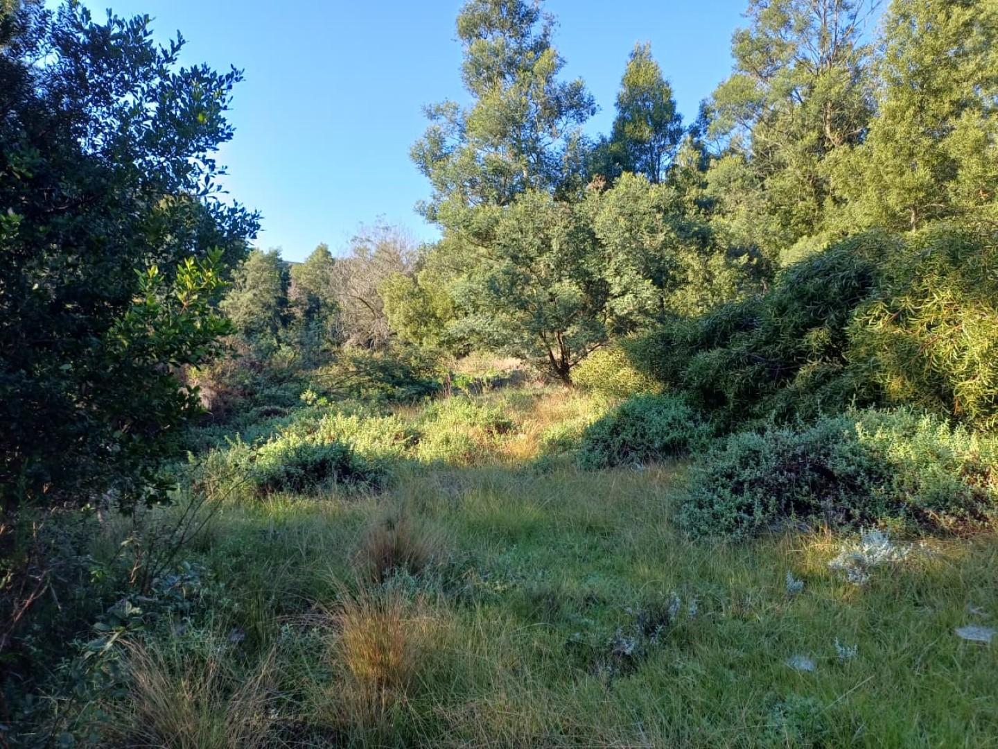 Image 2 of 6