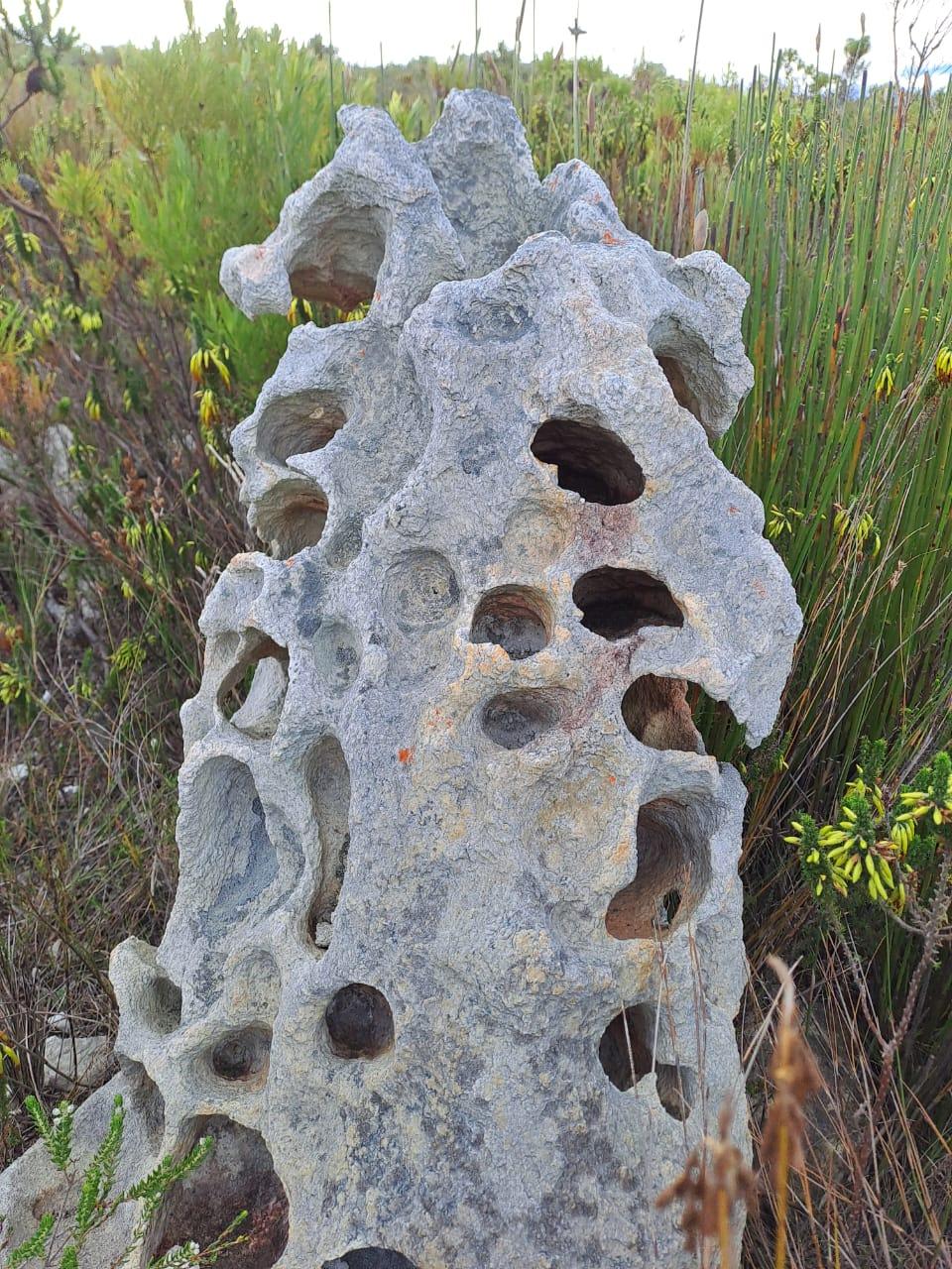 Image 23