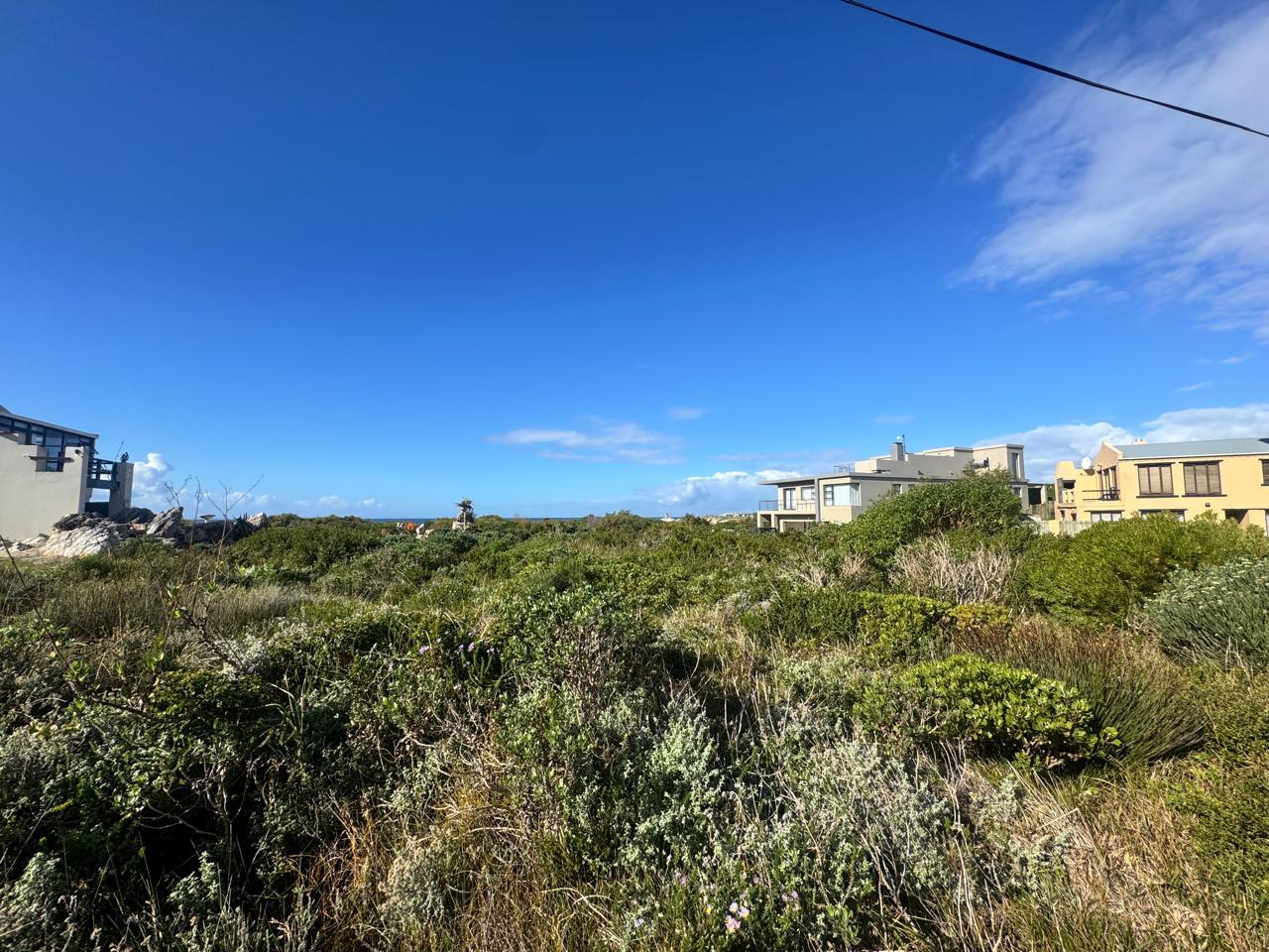 Image 12
