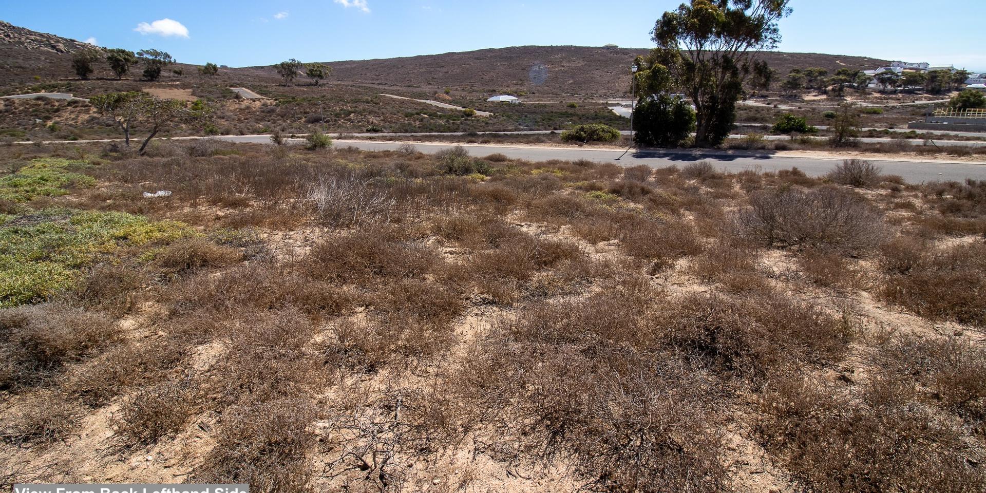 Image 5 of 6