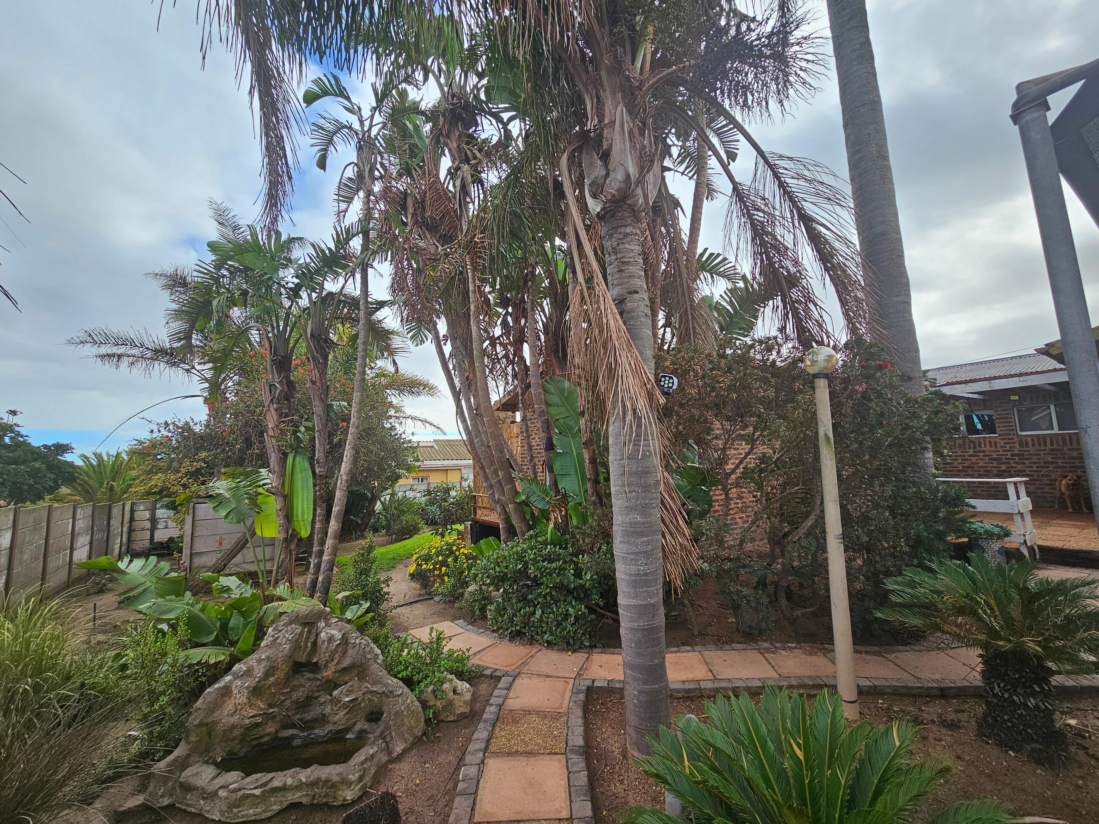 Image 4 of 6