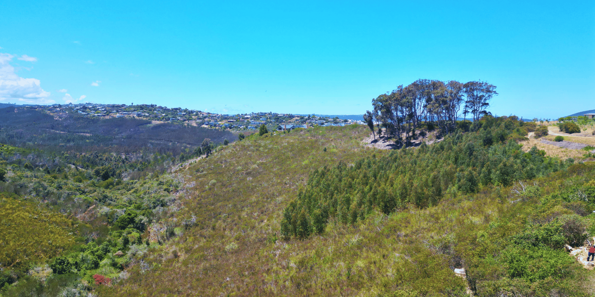 Image 3 of 6