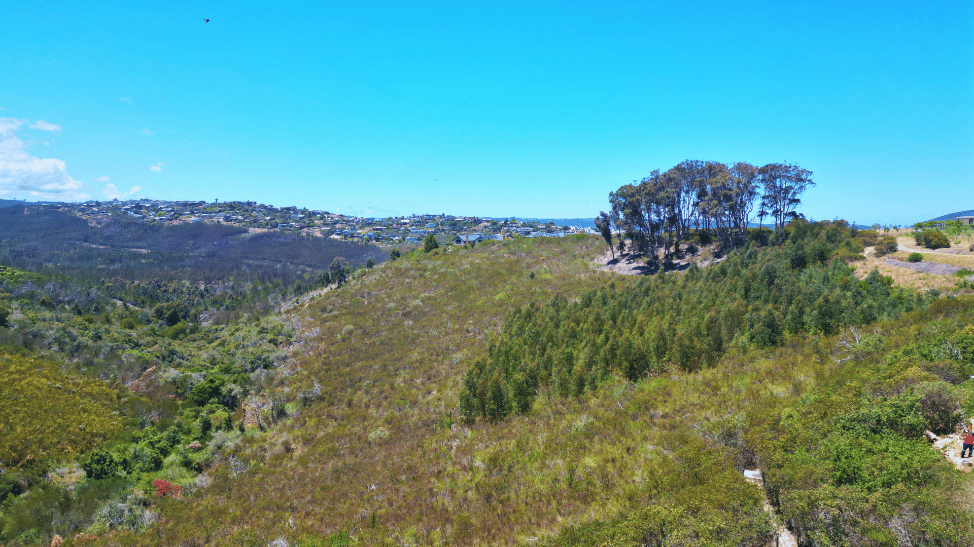Image 3 of 6