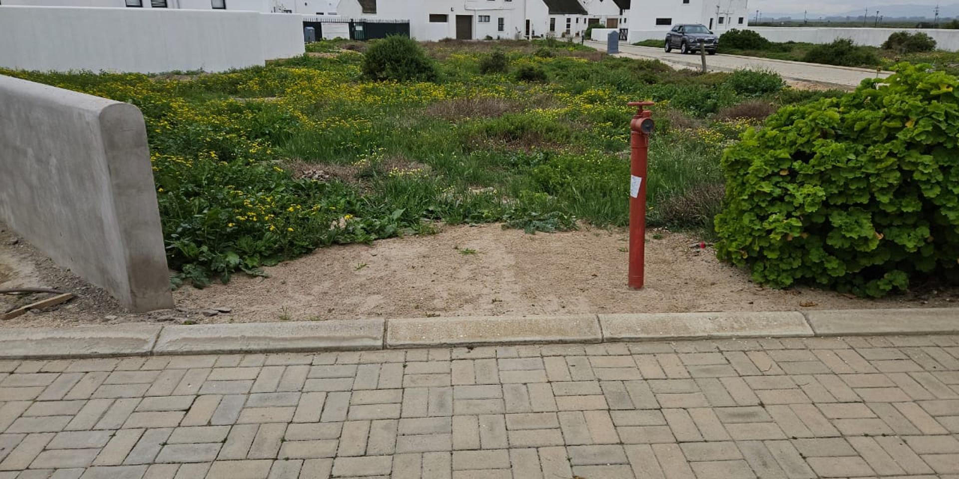 Image 2 of 6