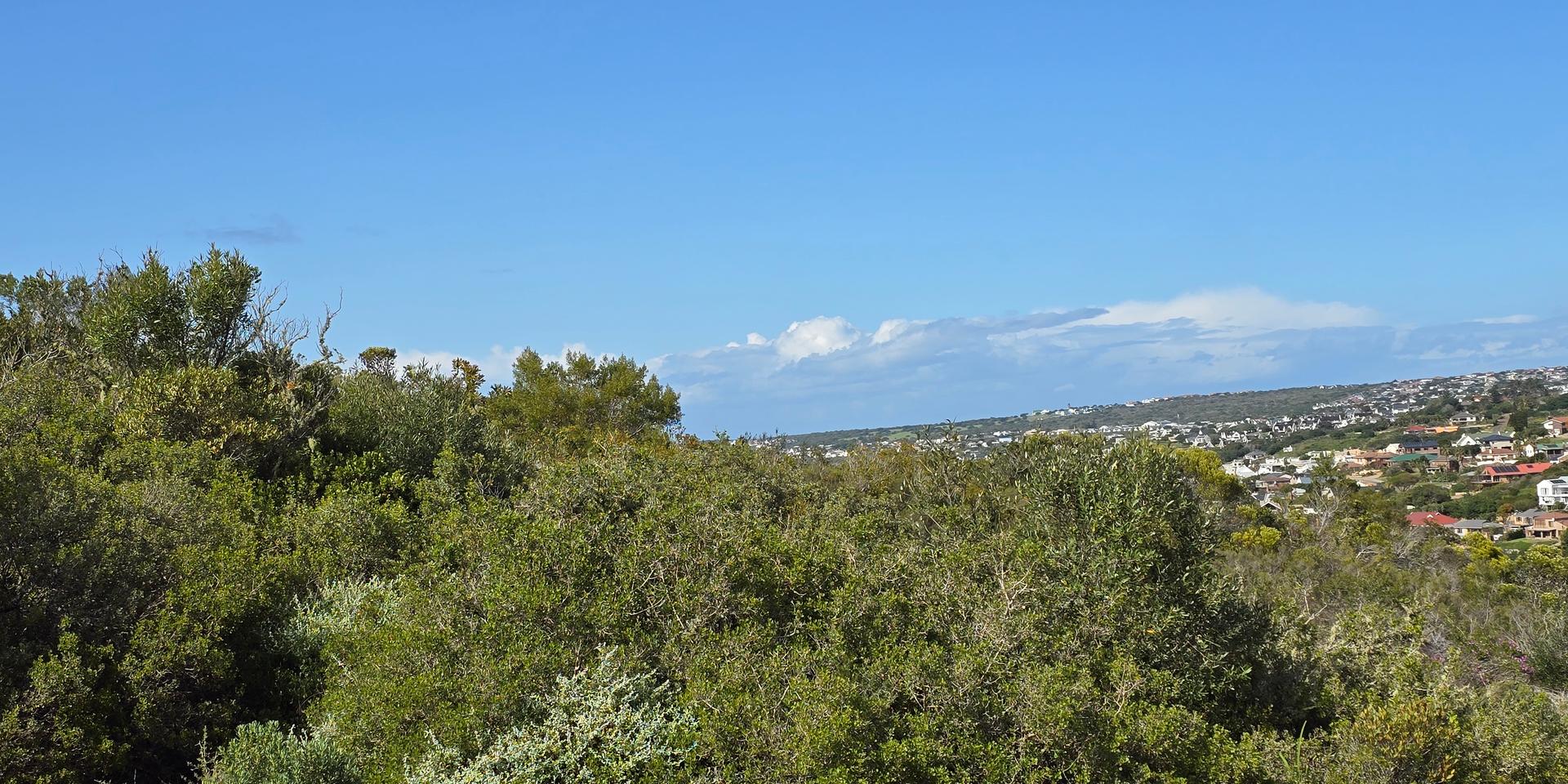 Image 3 of 6