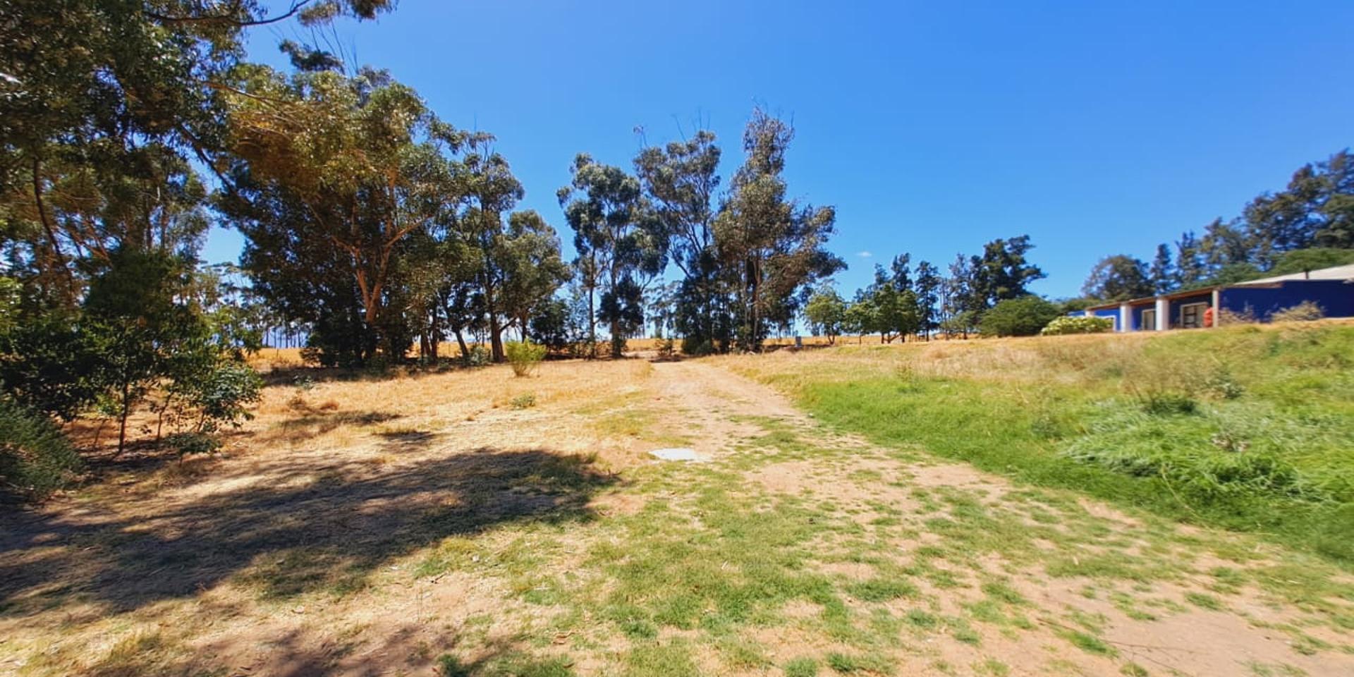 Image 2 of 6