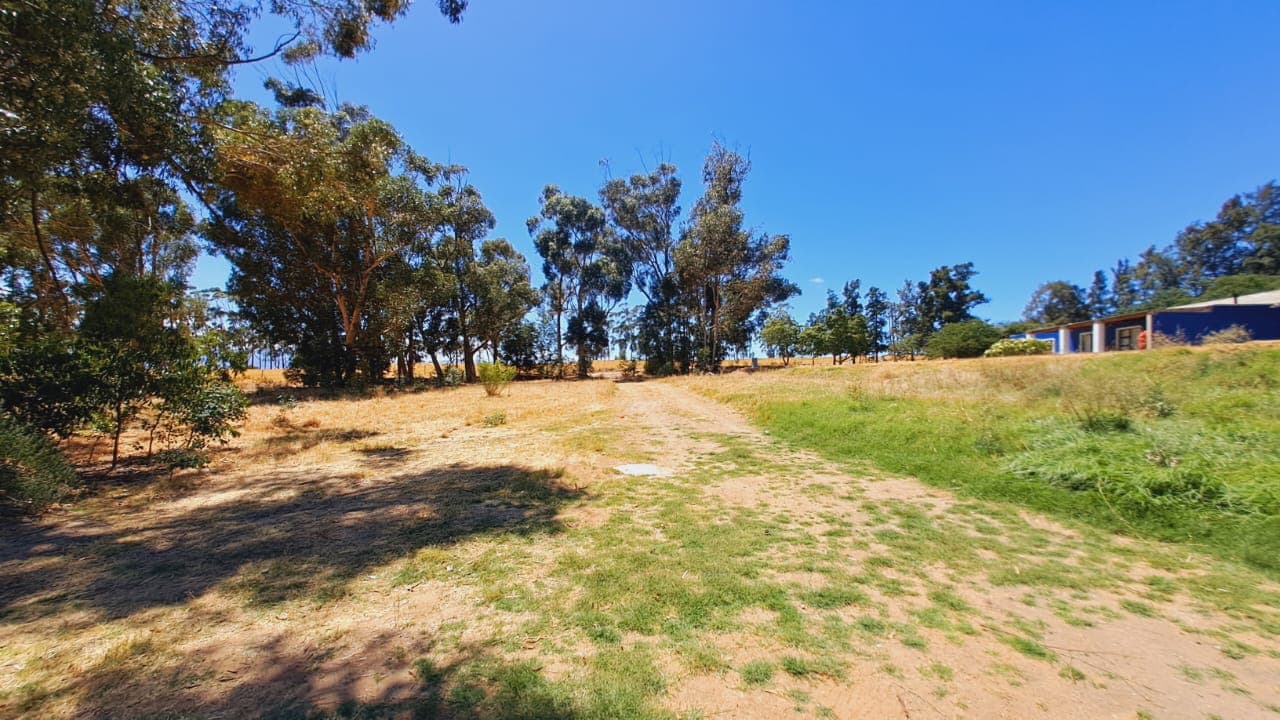 Image 2 of 6