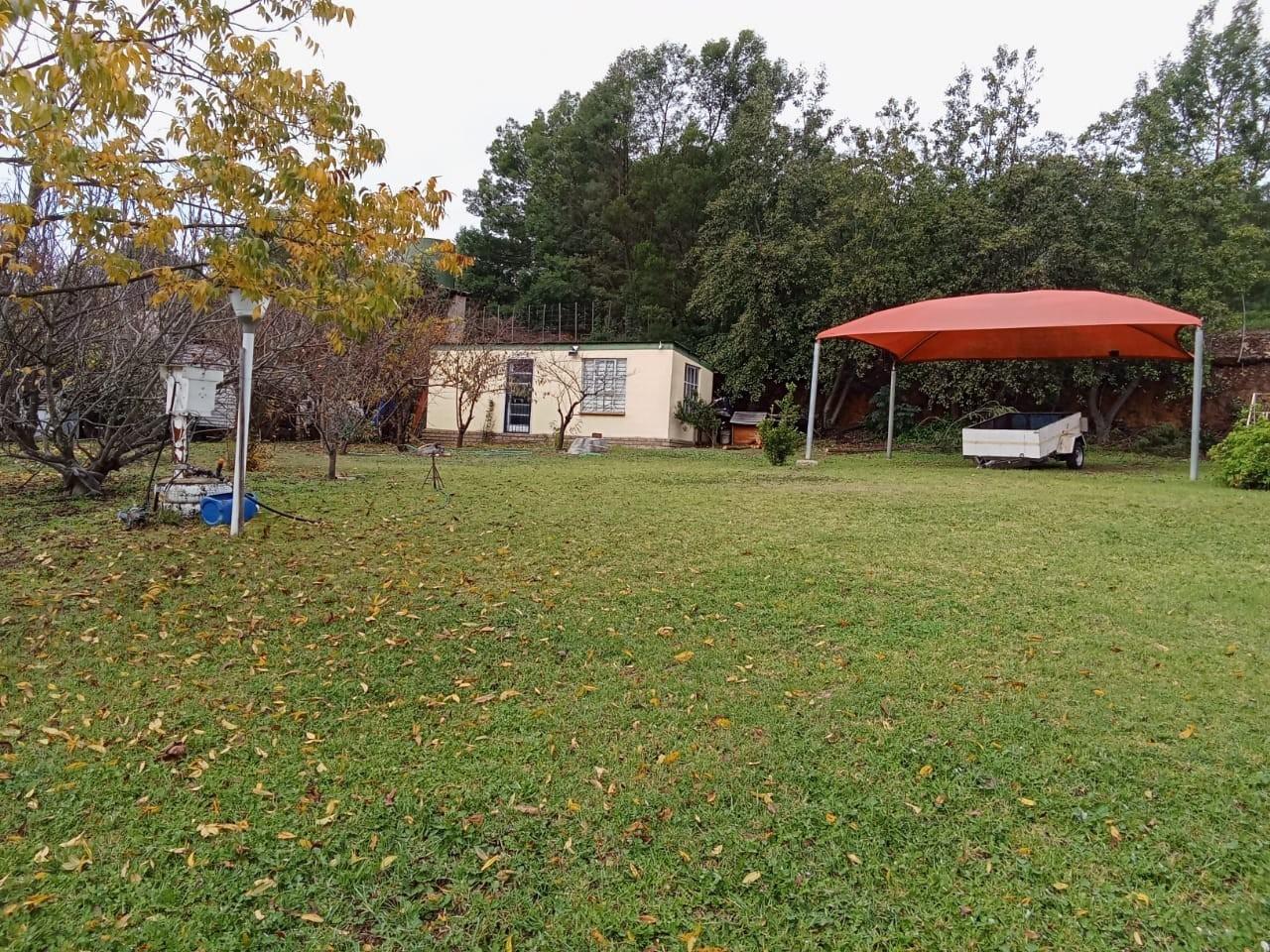 Image 14