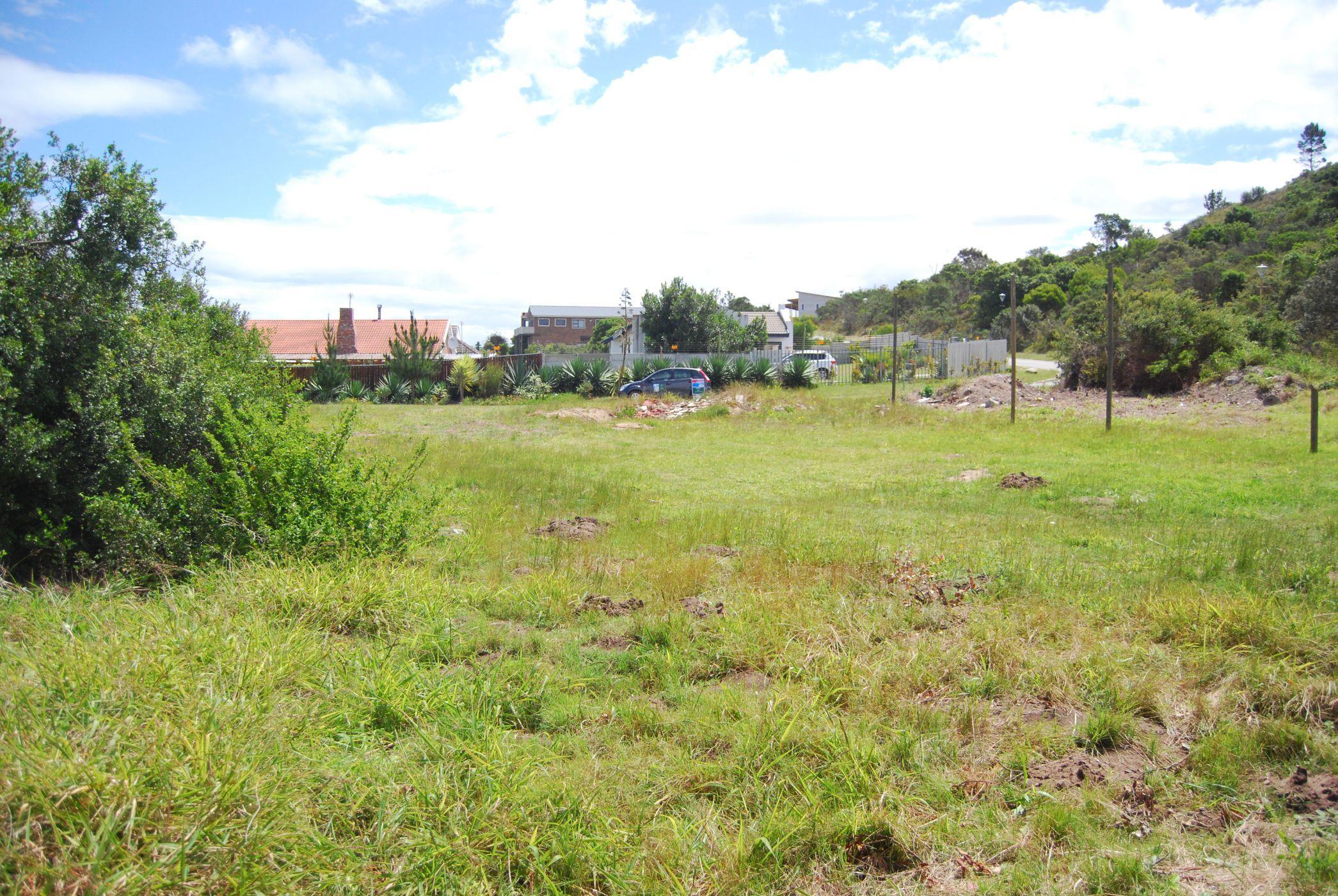 Image 14