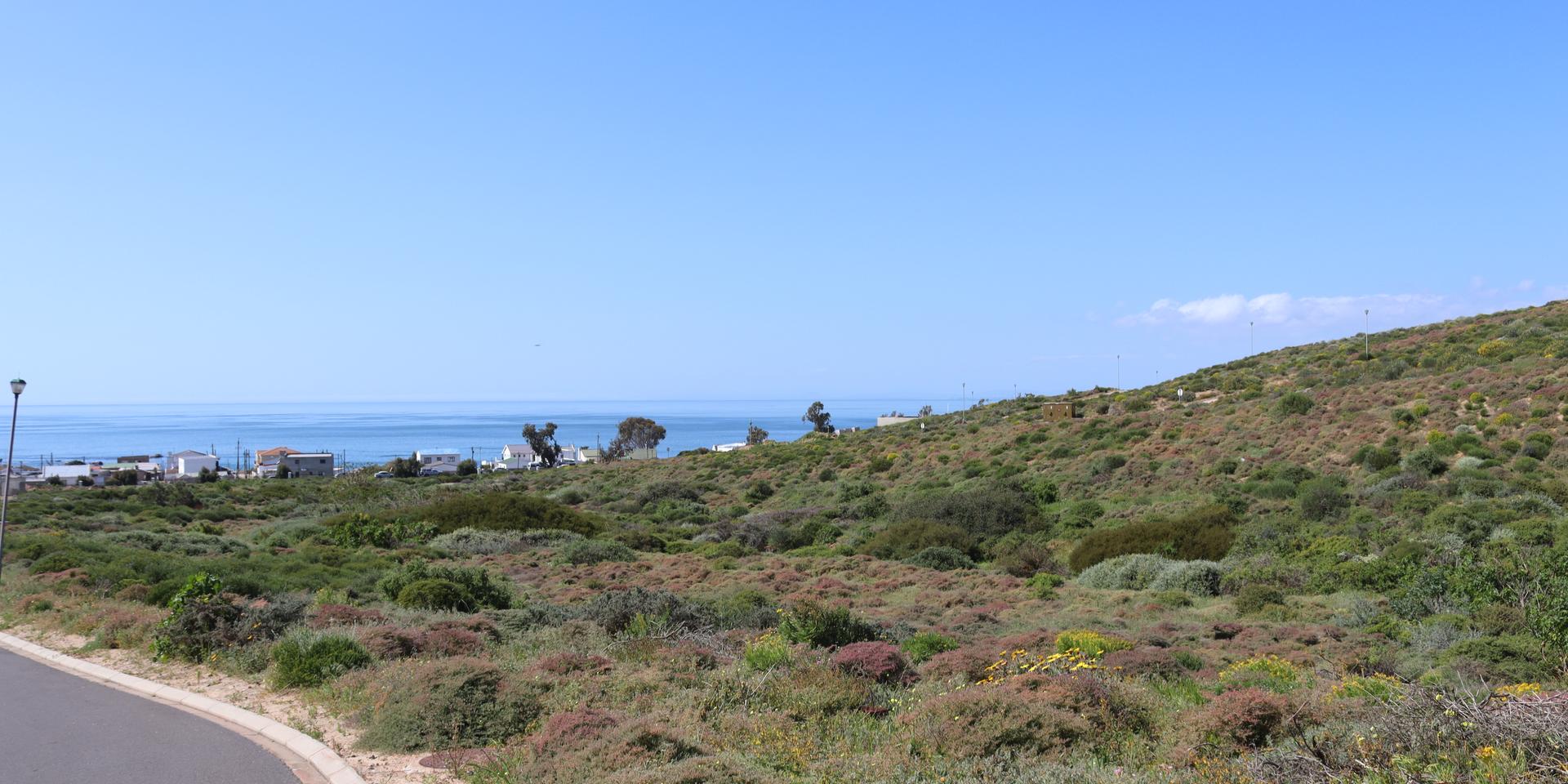 Image 4 of 6