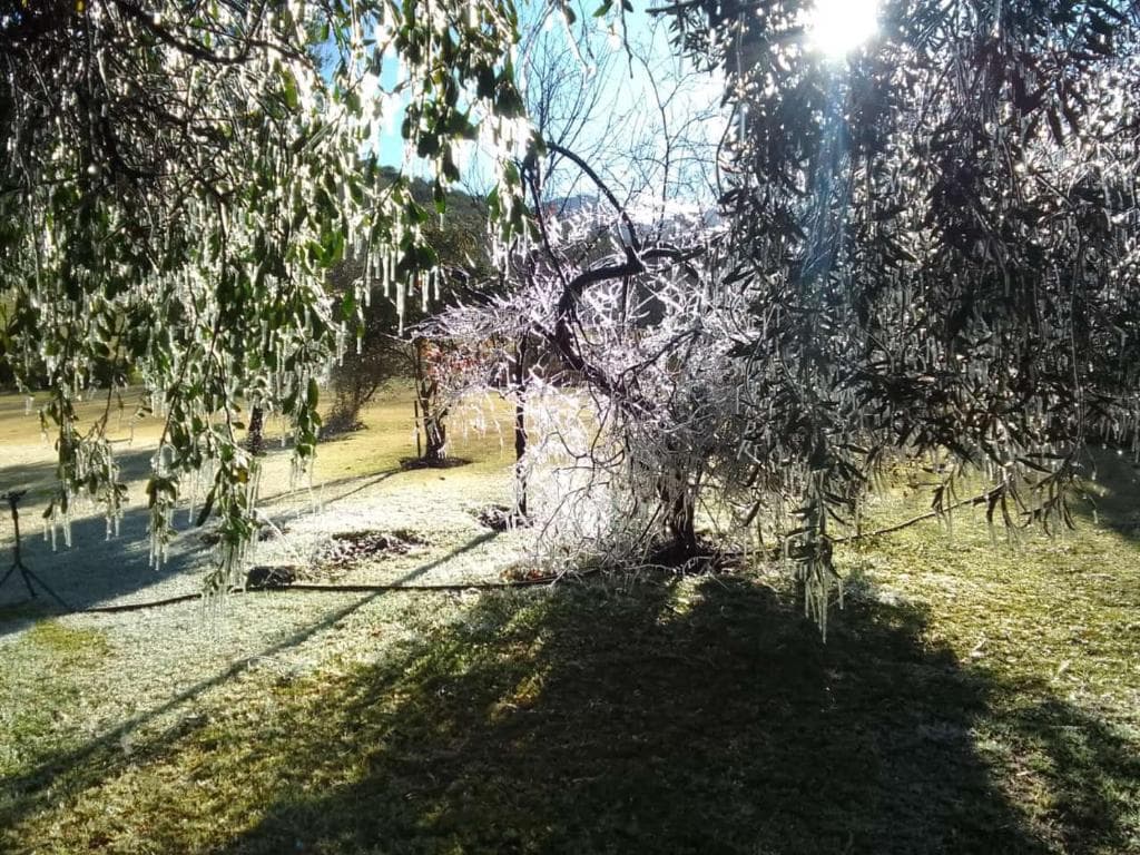 Image 19
