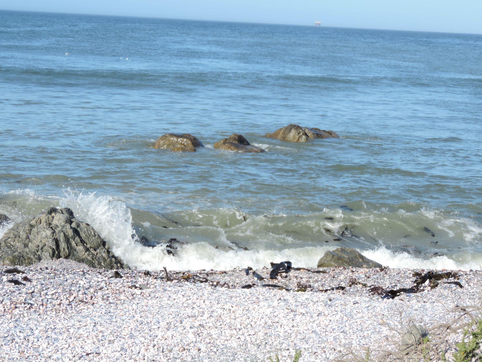 Image 13