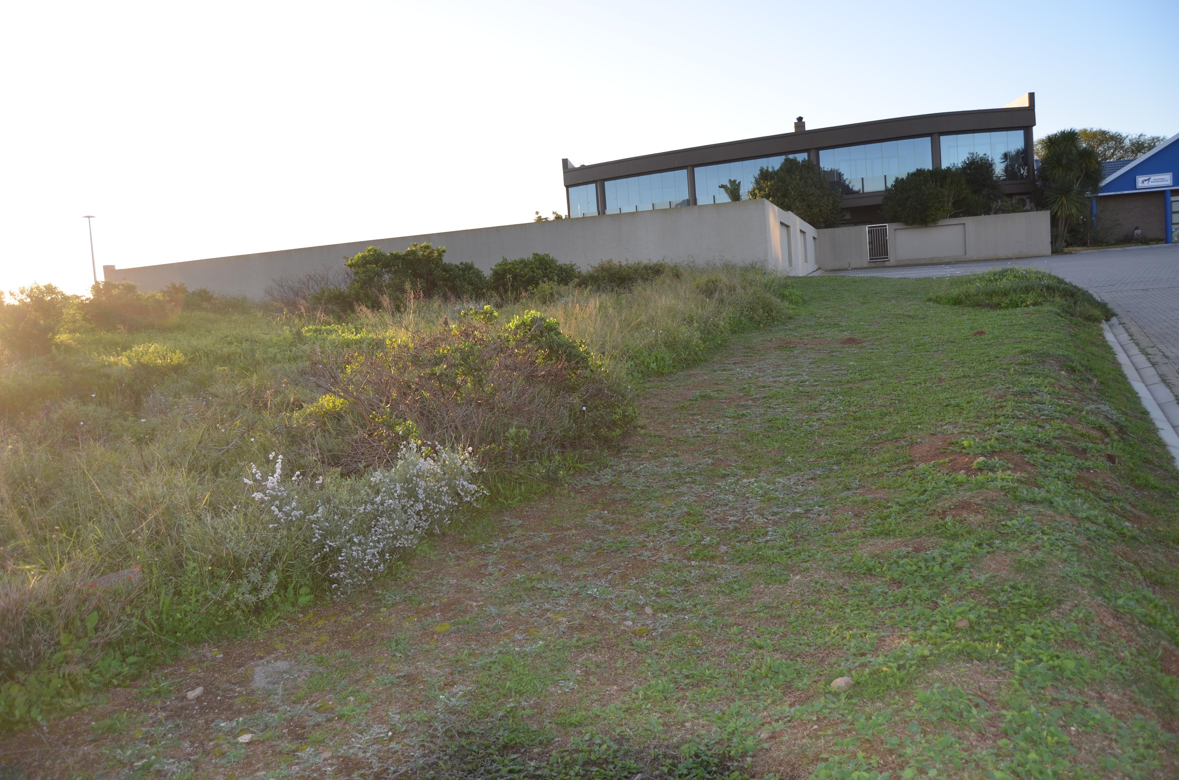 Image 3 of 6