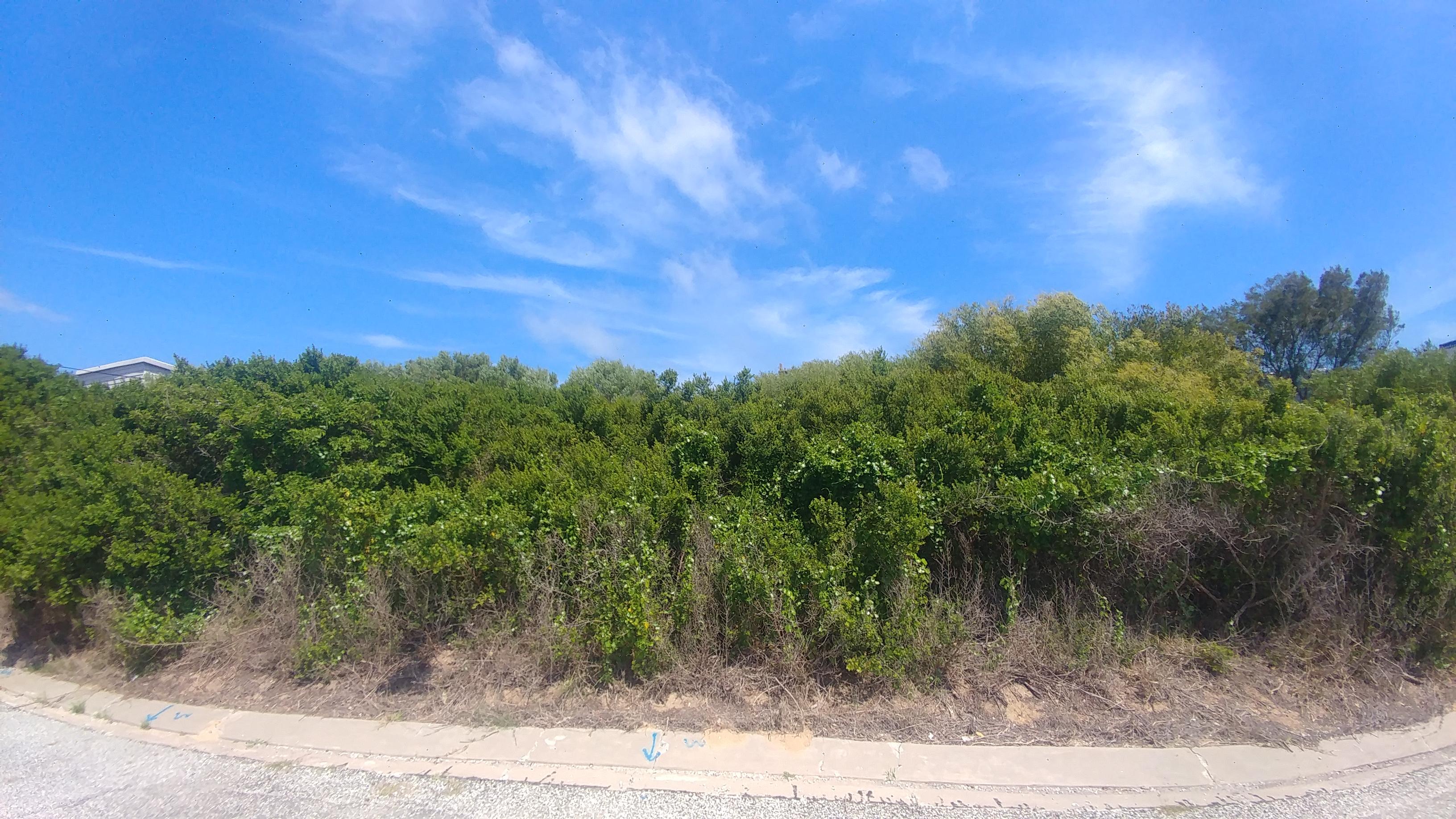 Image 4 of 6