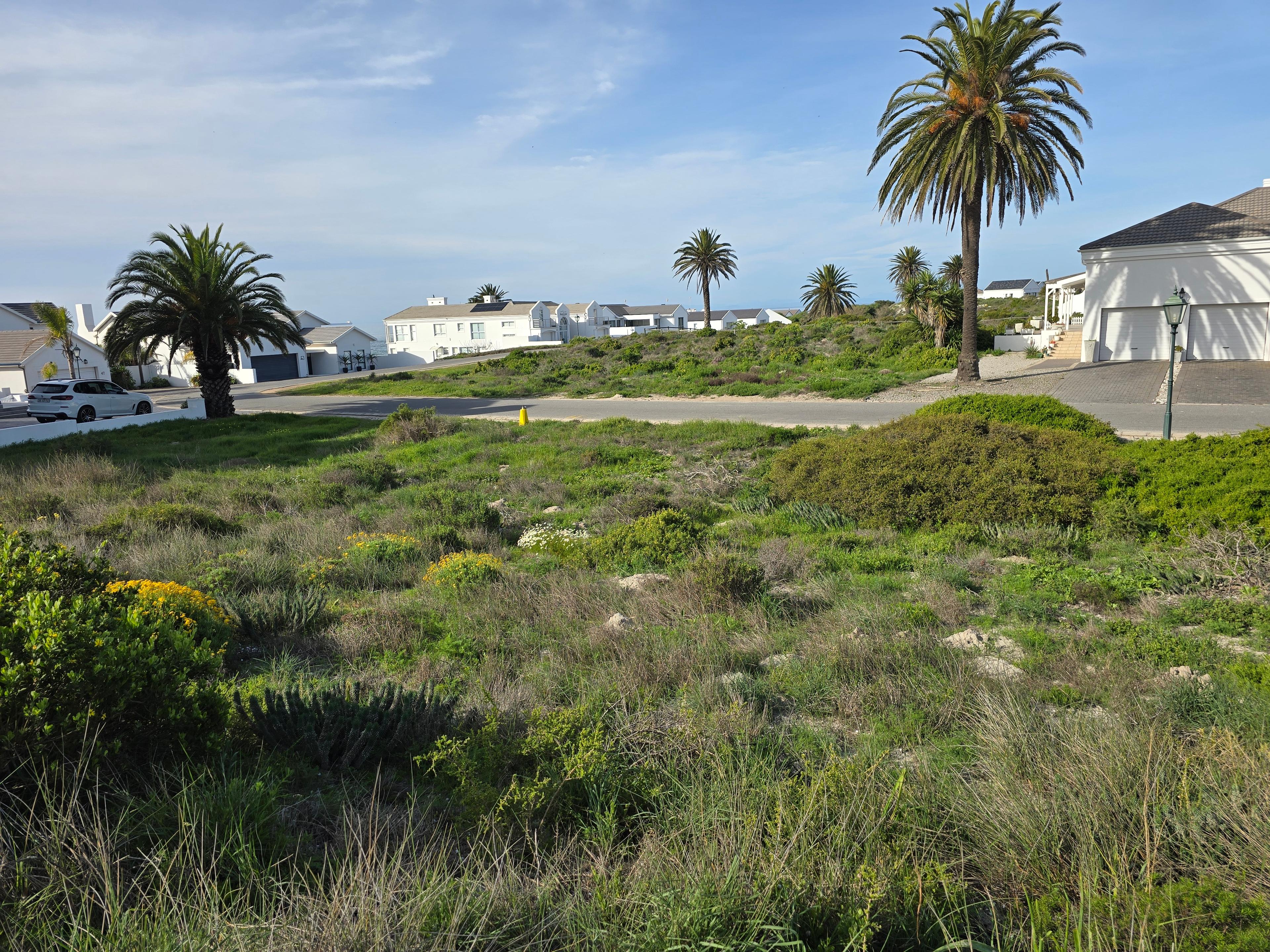 Image 15