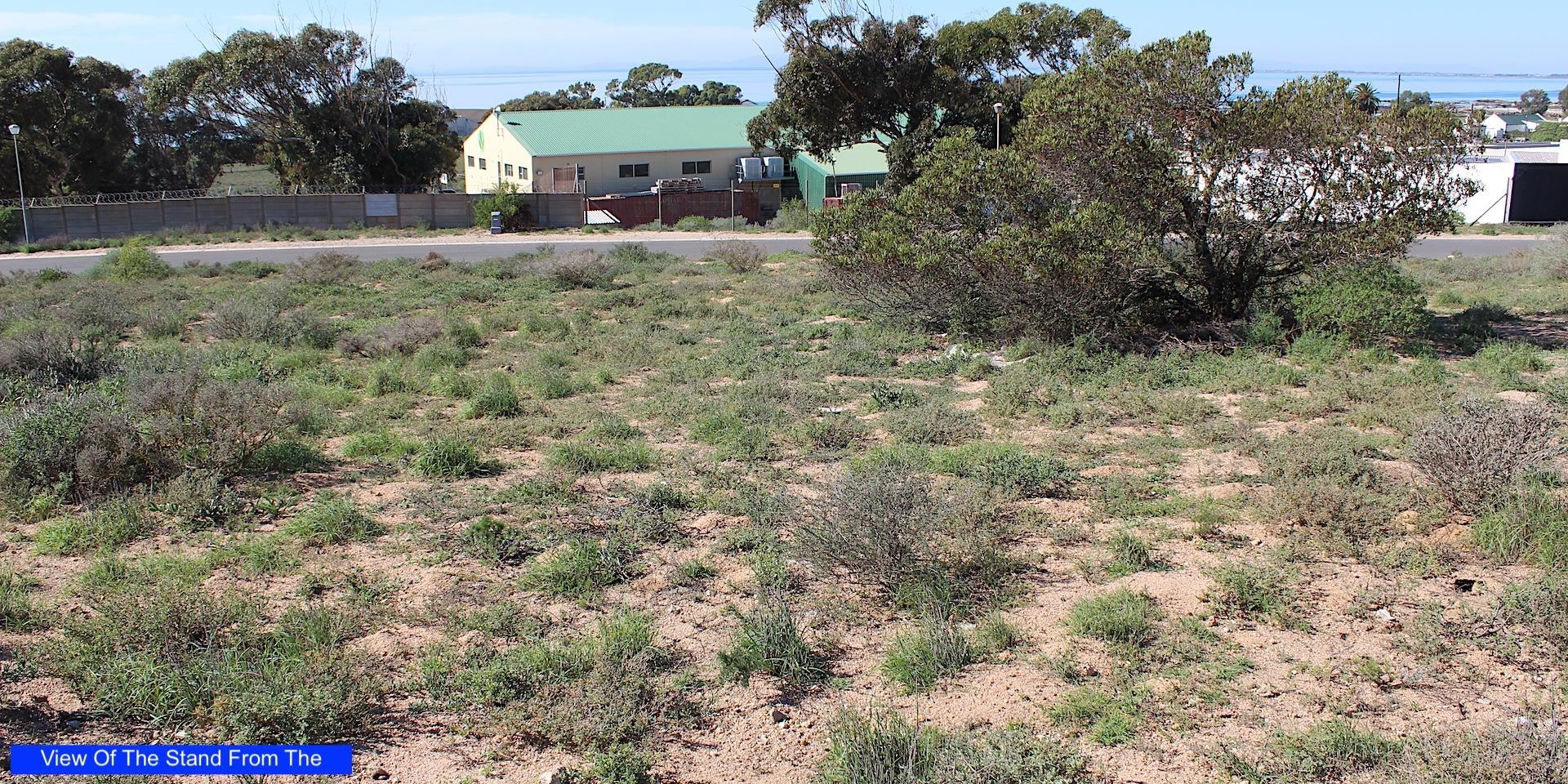 Image 4 of 6