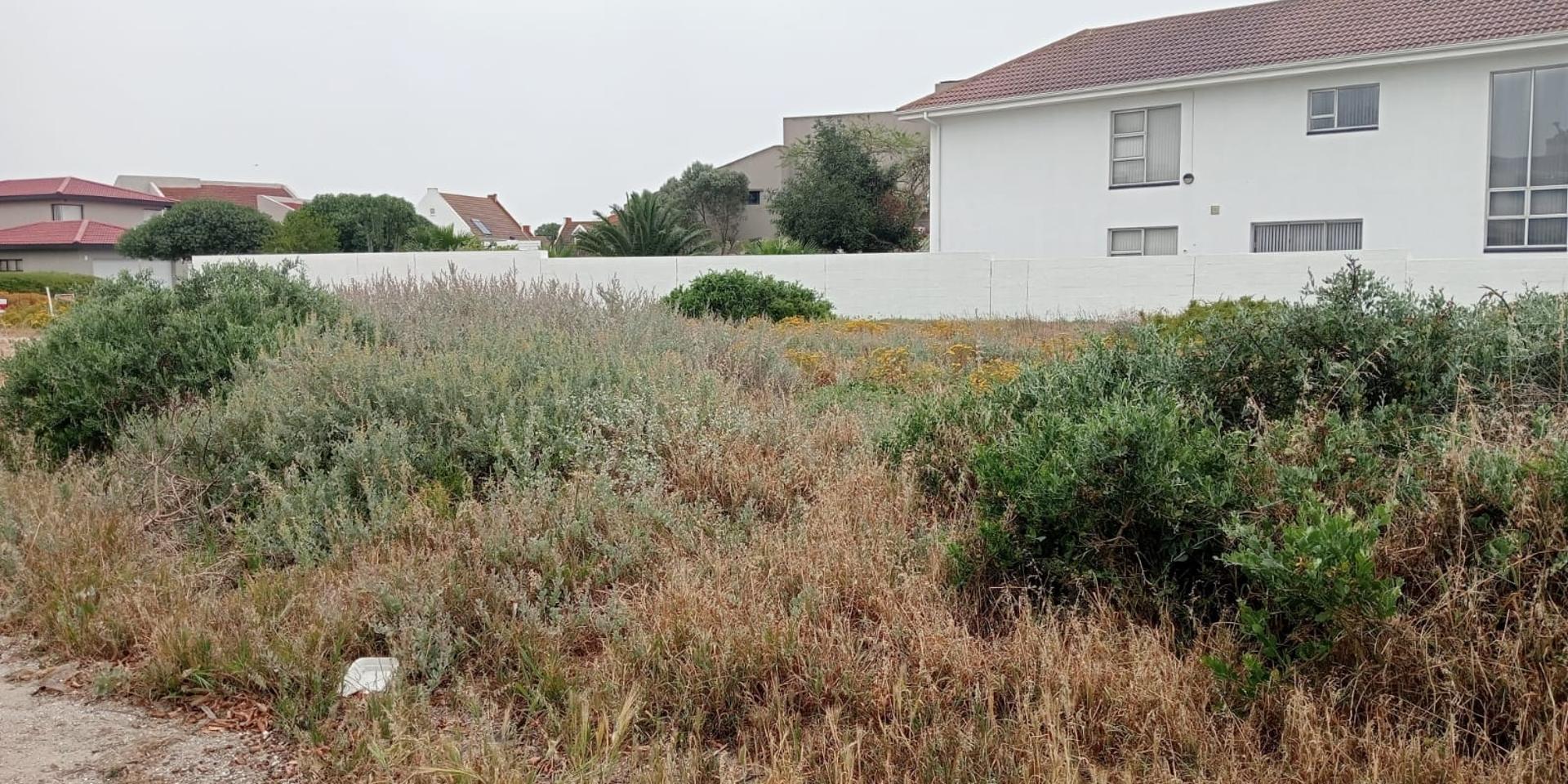 Image 5 of 6