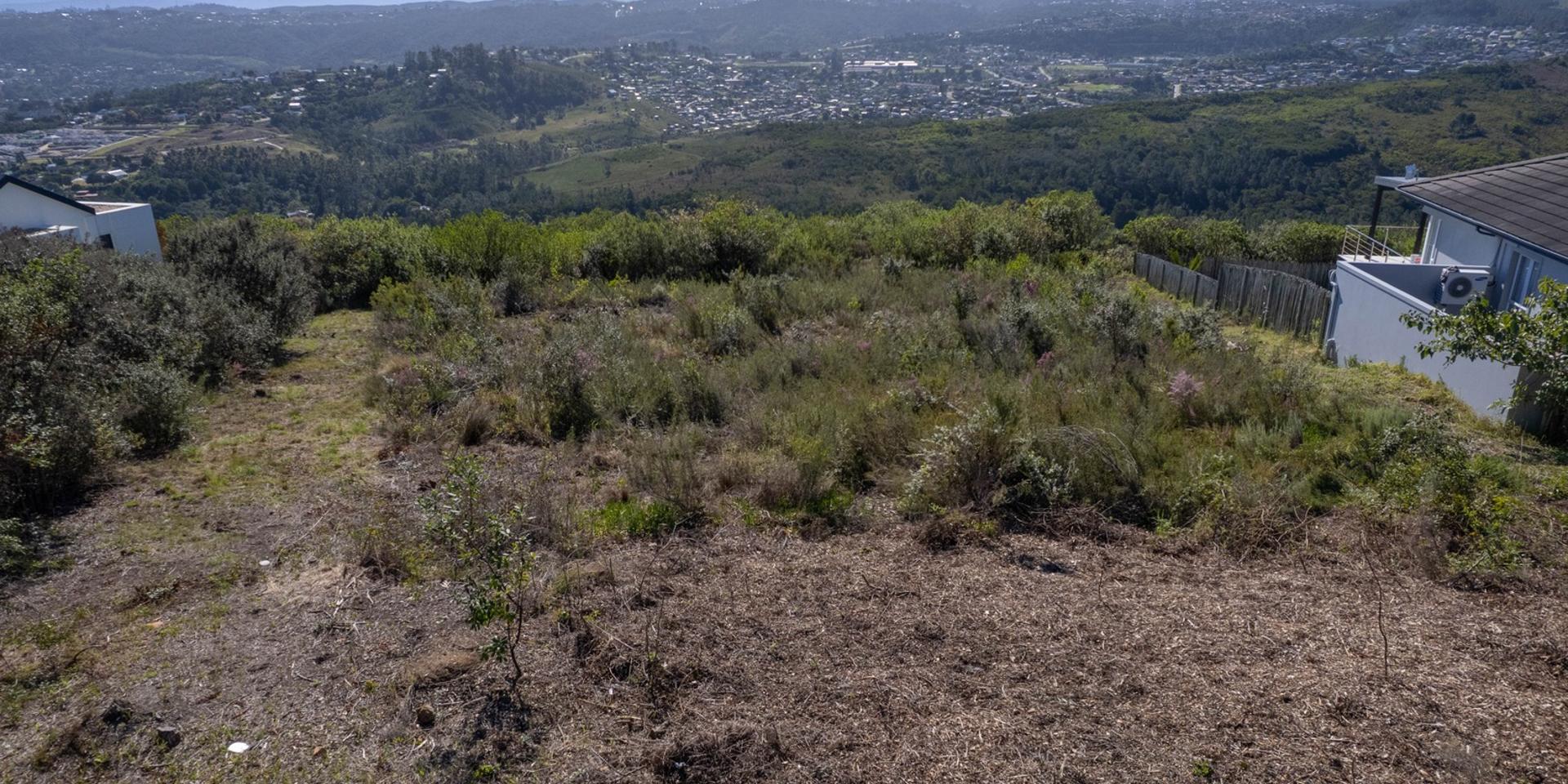 Image 2 of 6