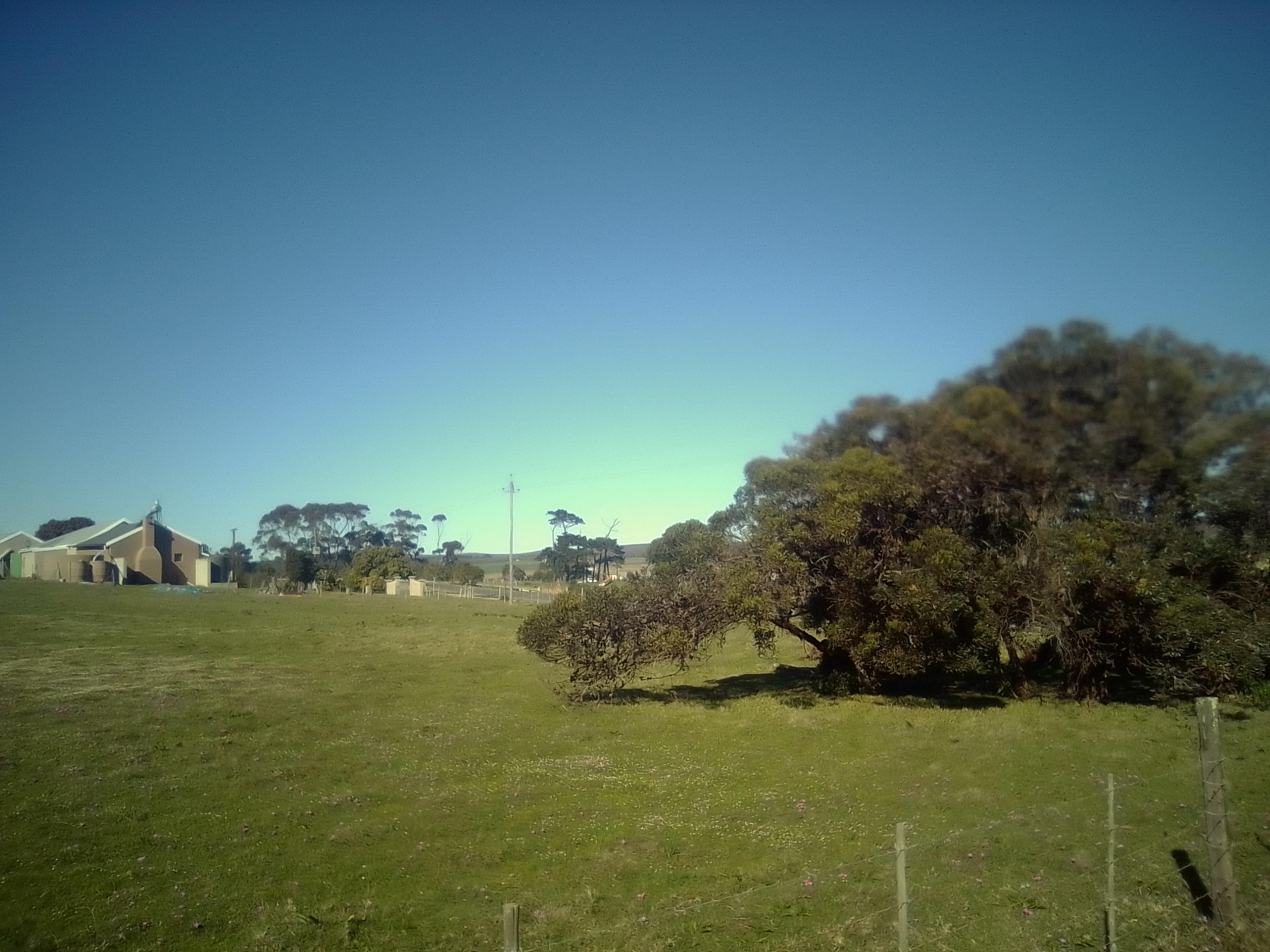 Image 3 of 6