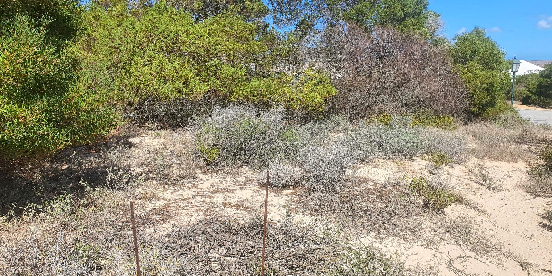 Image 3 of 6