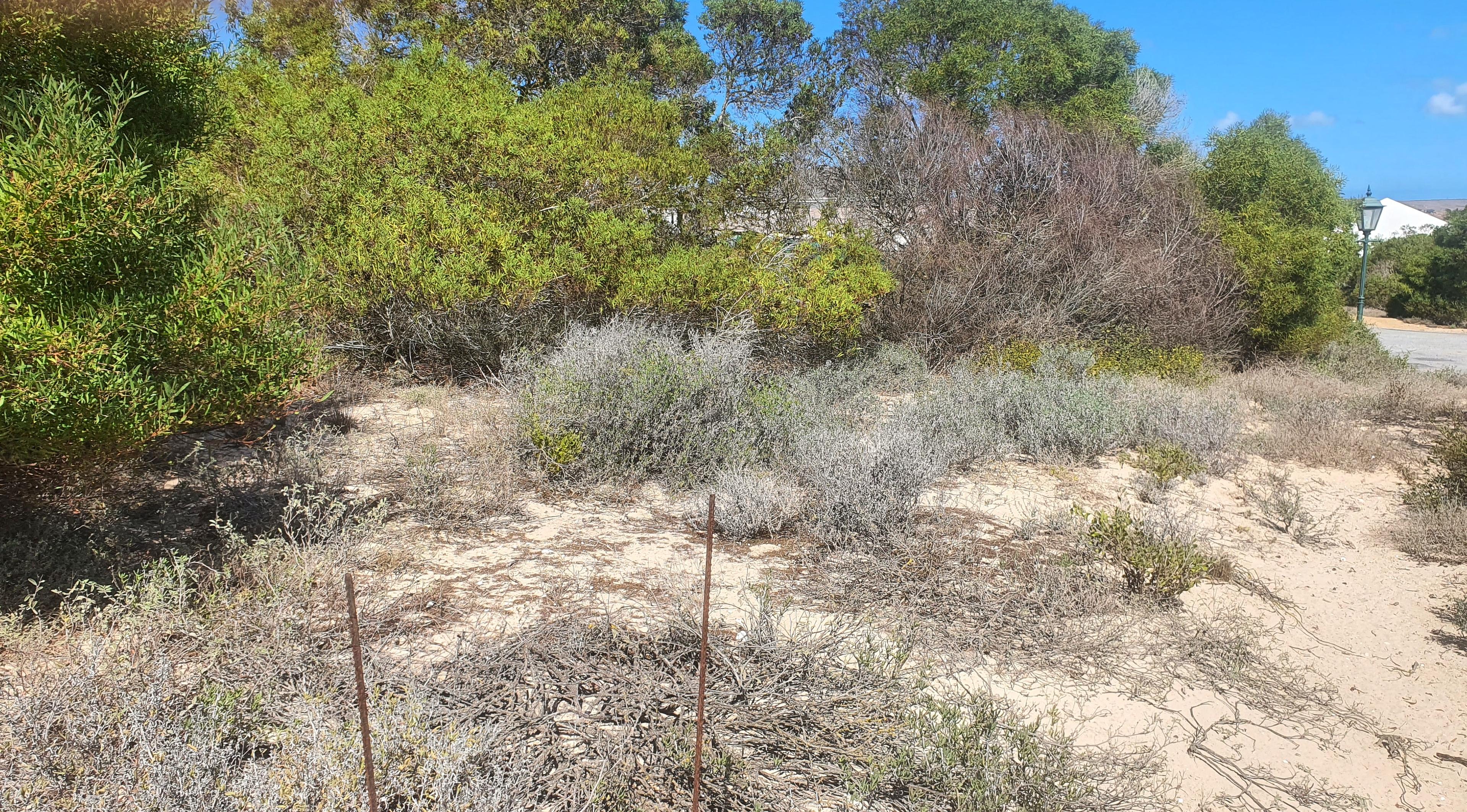 Image 3 of 6