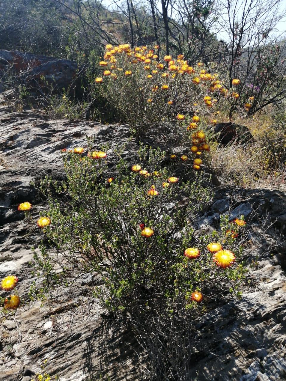 Image 15