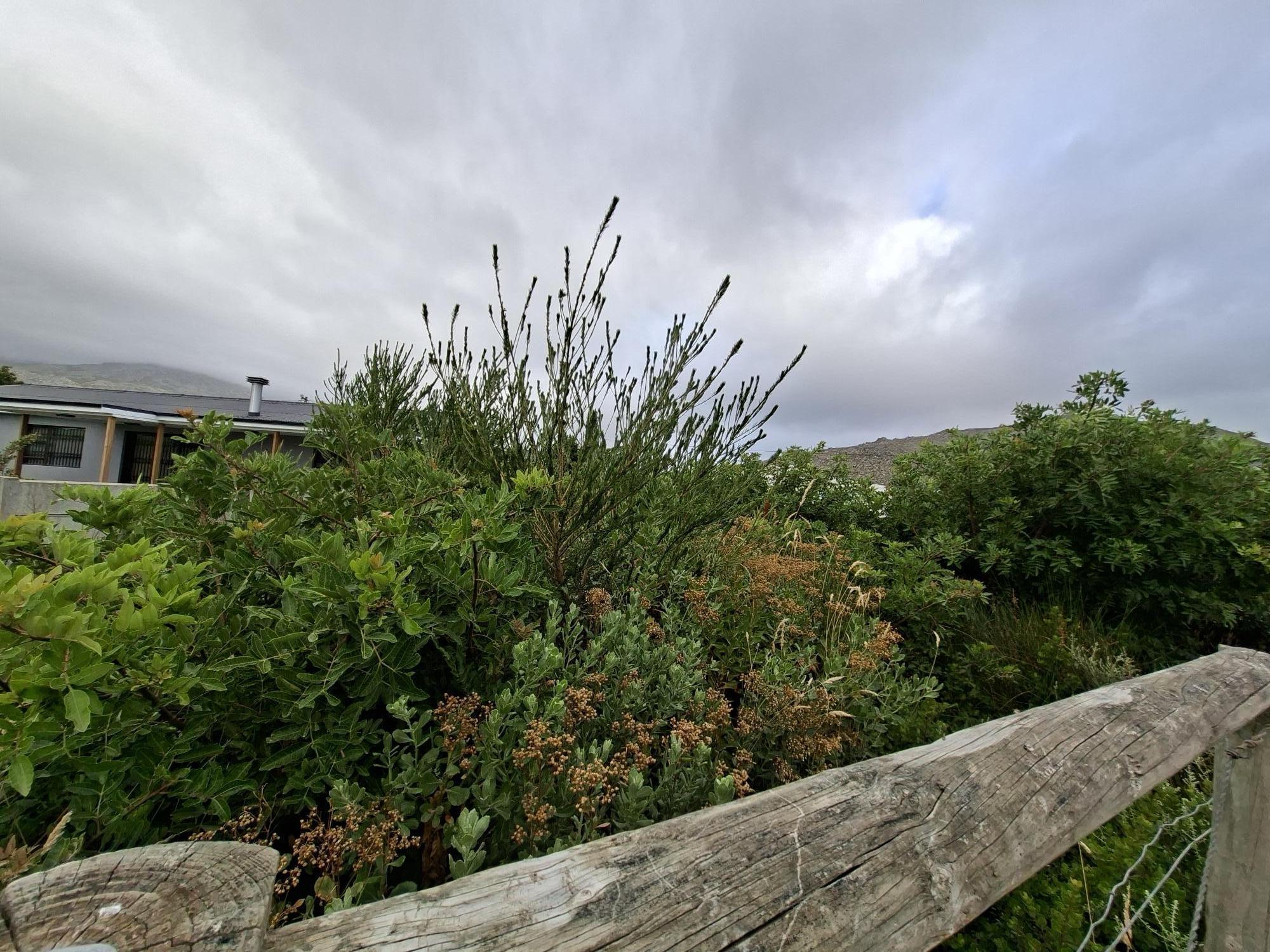Image 24