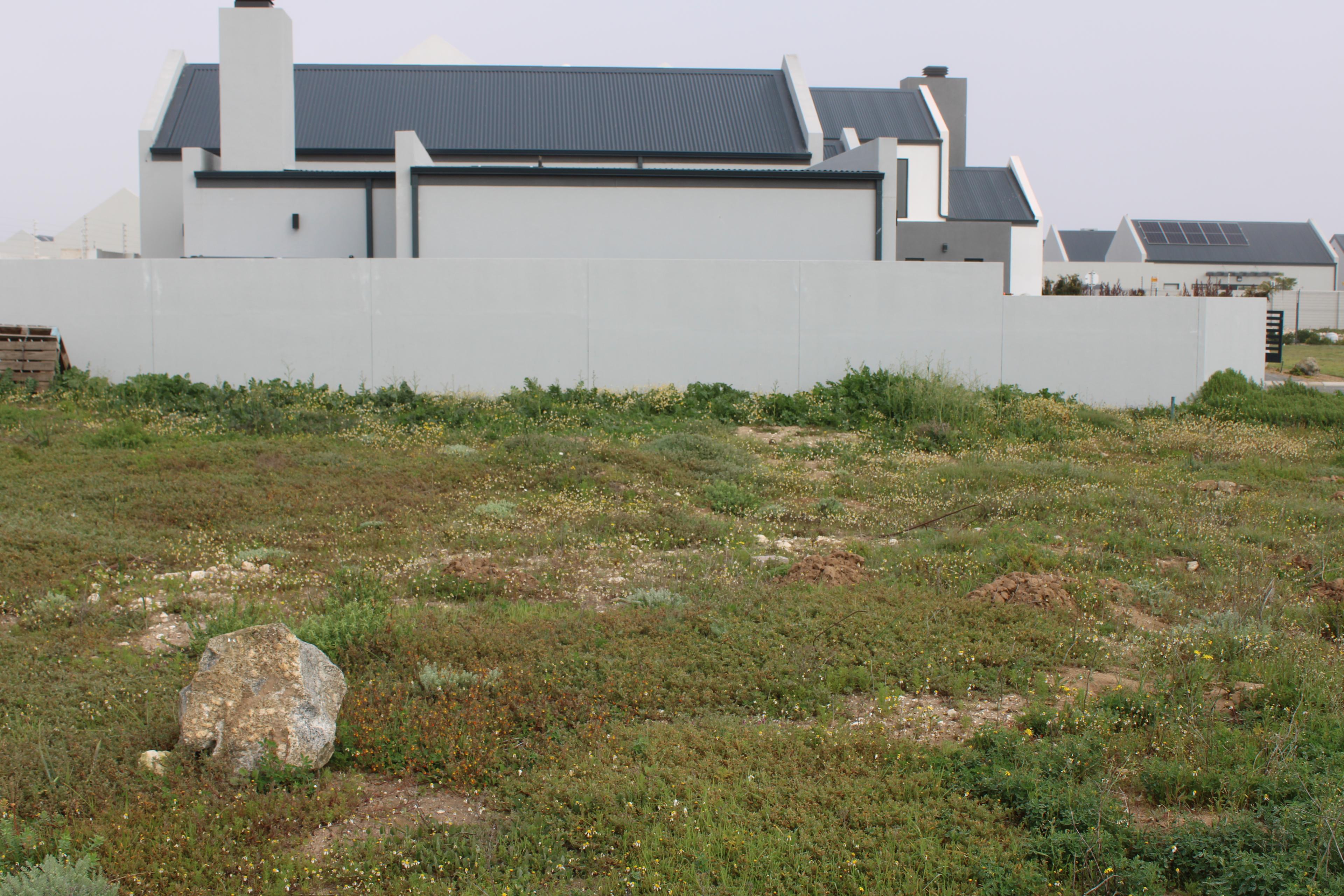Image 14