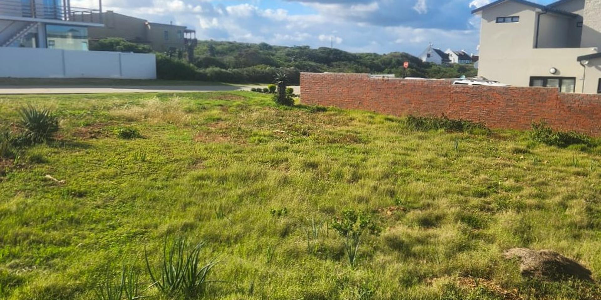 Image 3 of 6
